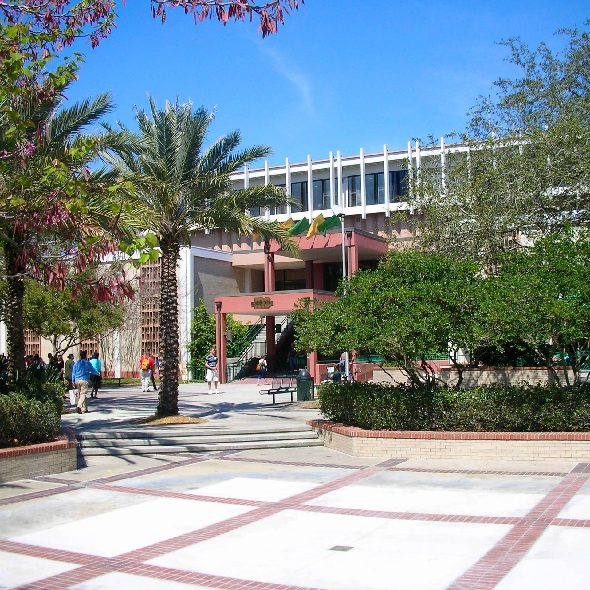 Universitàdel Sud Della Florida, Campus Principale Sfondo