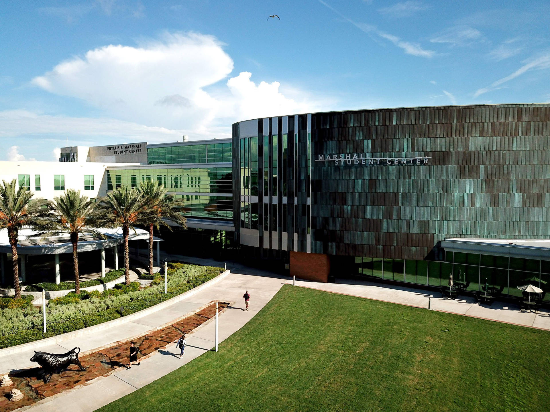 Caption: University of South Florida's Landmark - Marshall Student Center Wallpaper