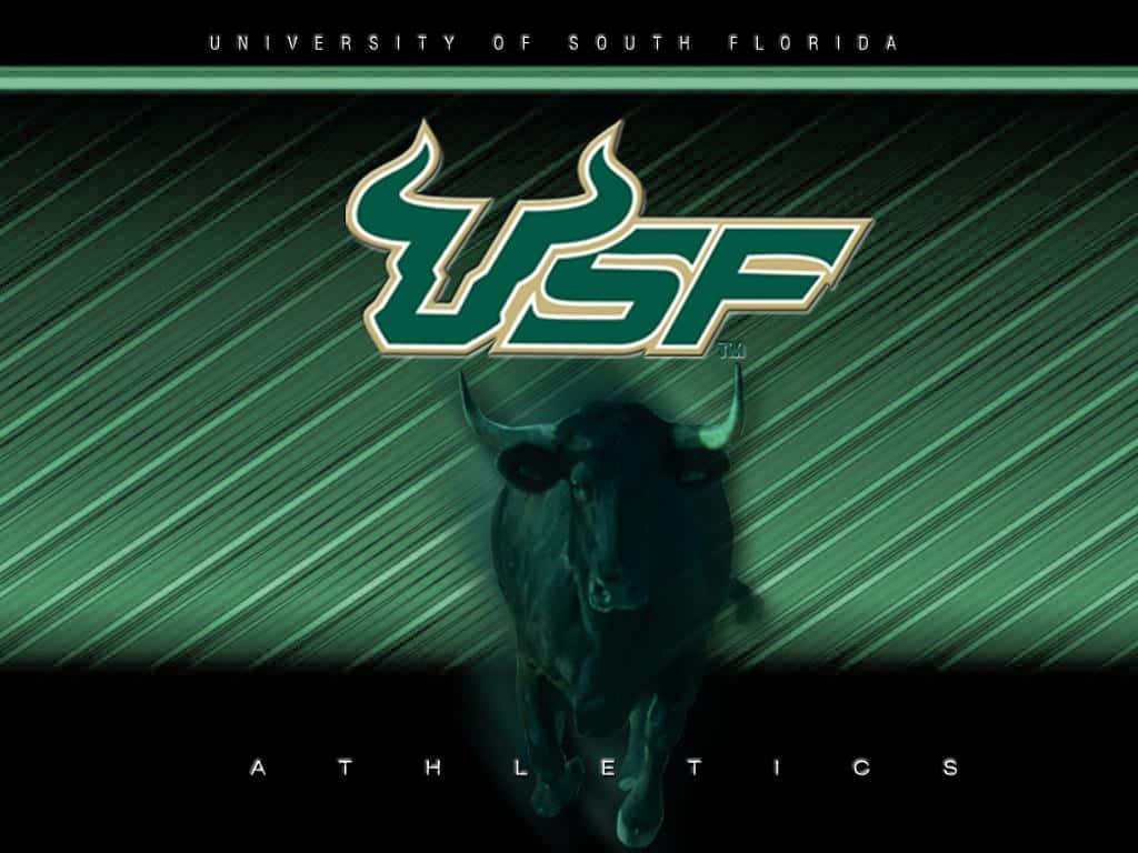 Universitàdel Sud Della Florida - Bulls Di Usf Sfondo