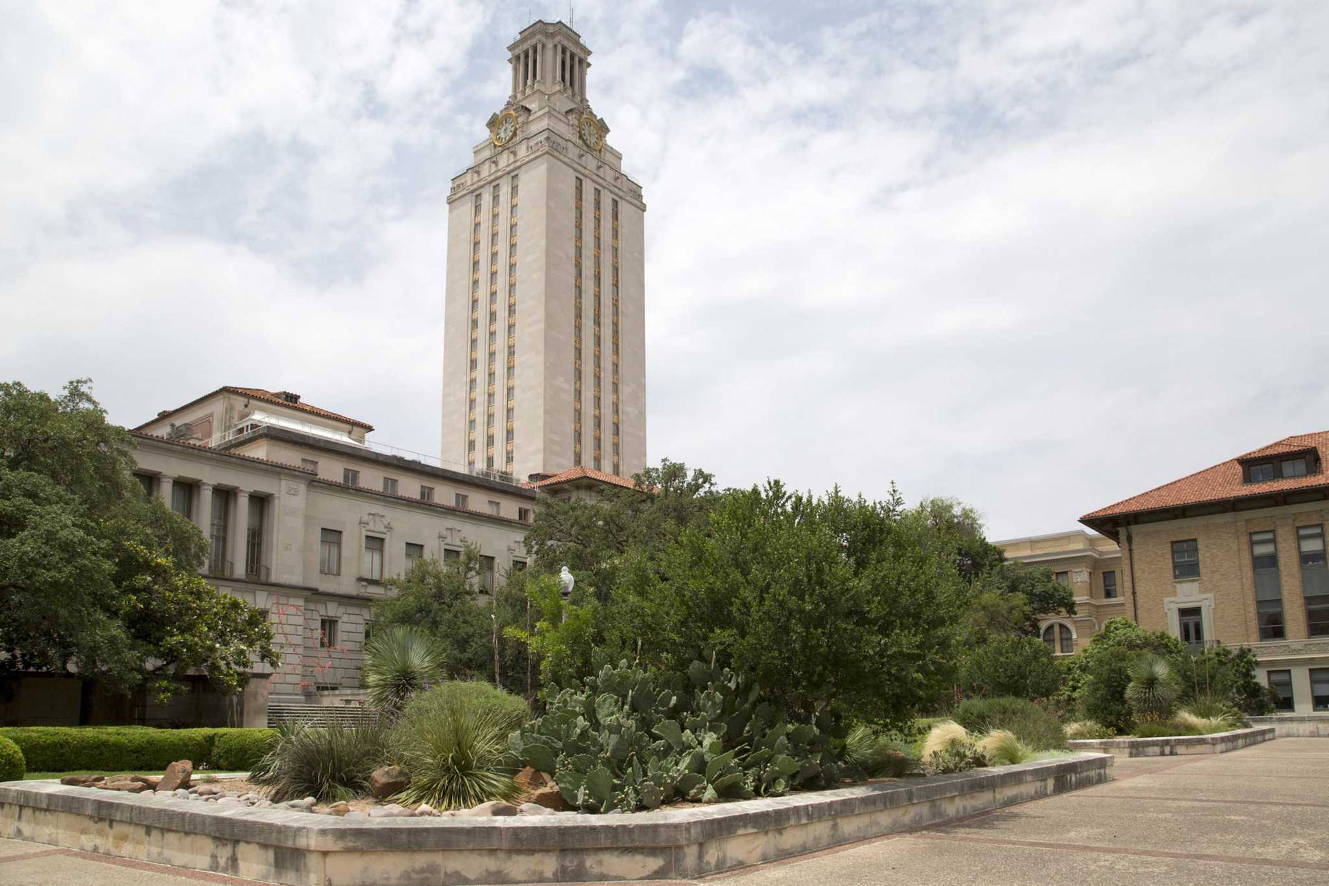University Of Texas White Clock Tower Wallpaper