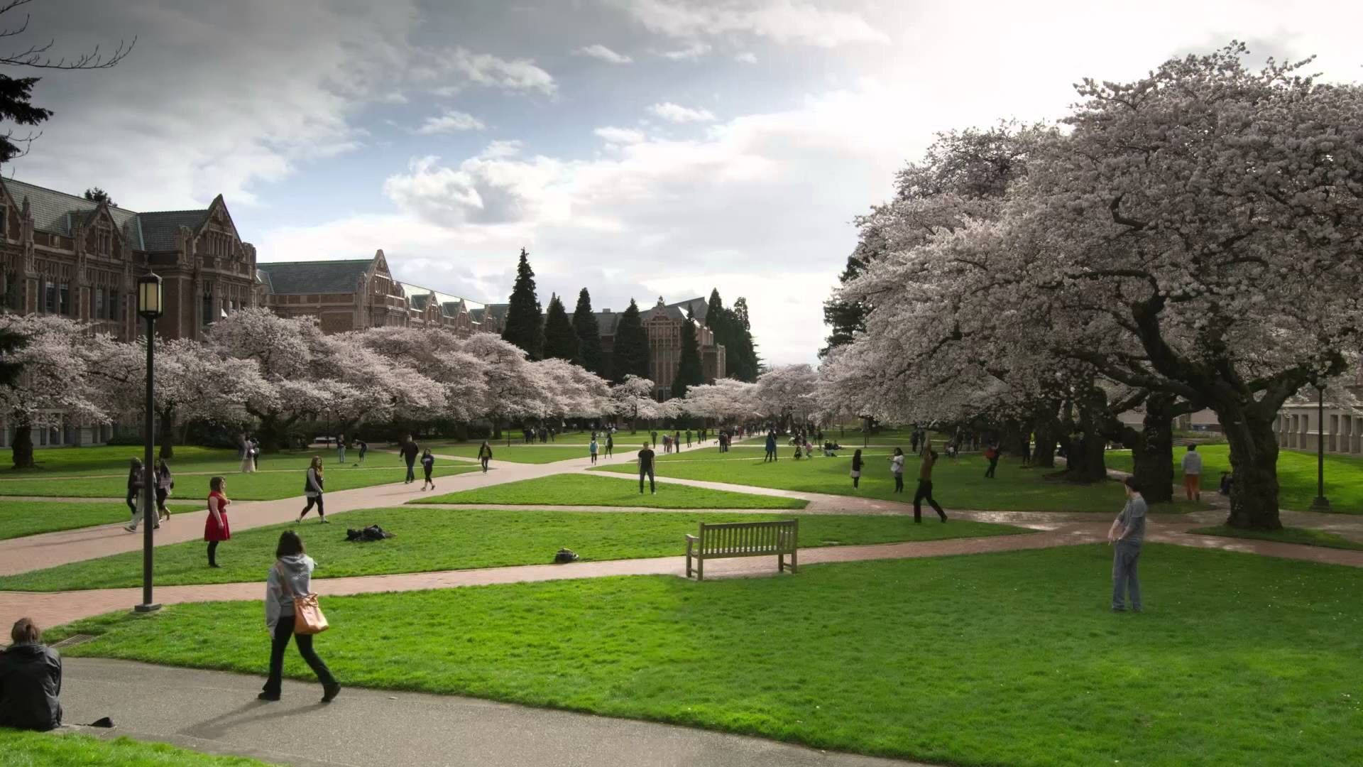 University Of Washington's The Quad Wallpaper
