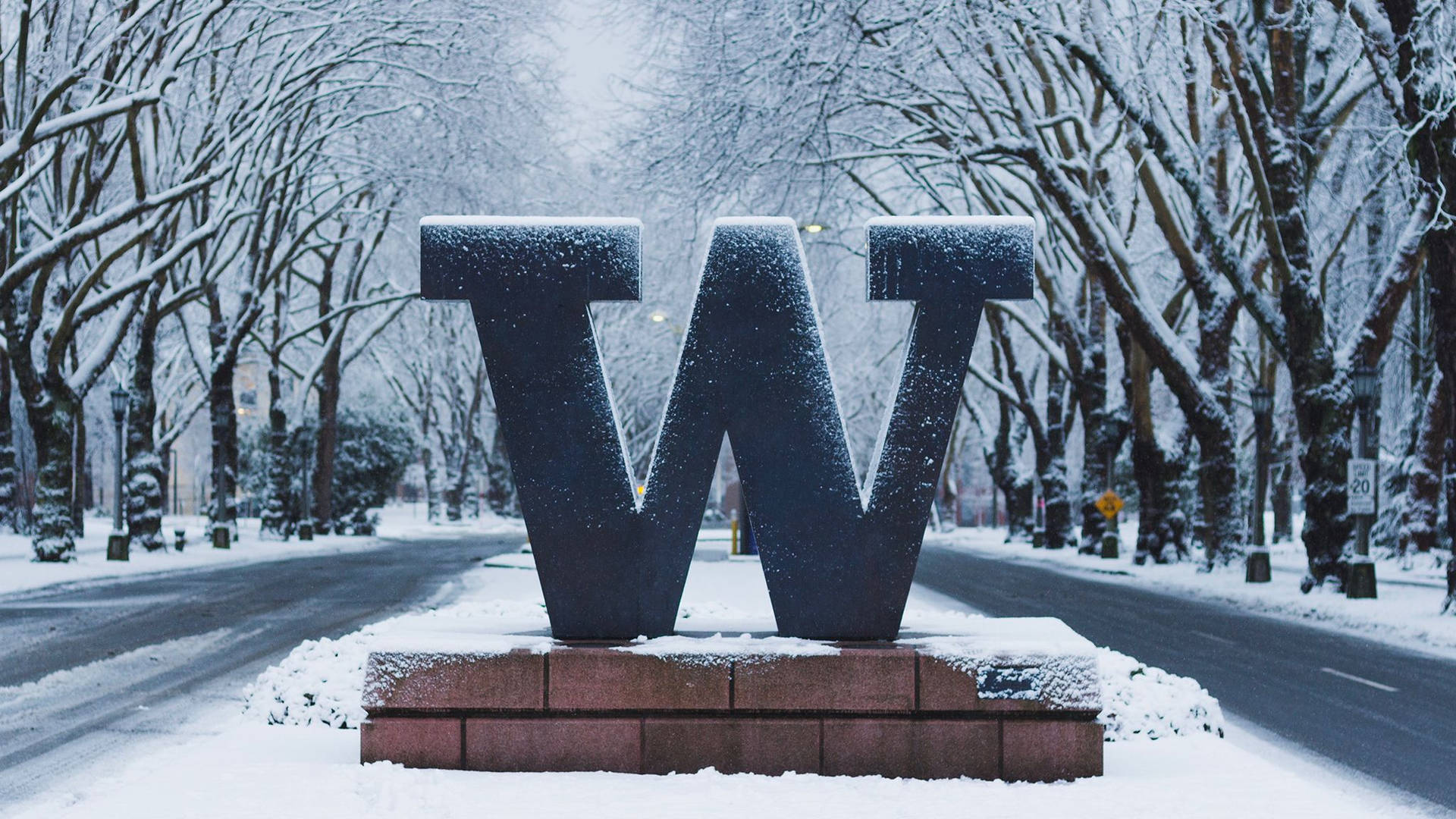 University Of Washington W Sign With Snow Wallpaper