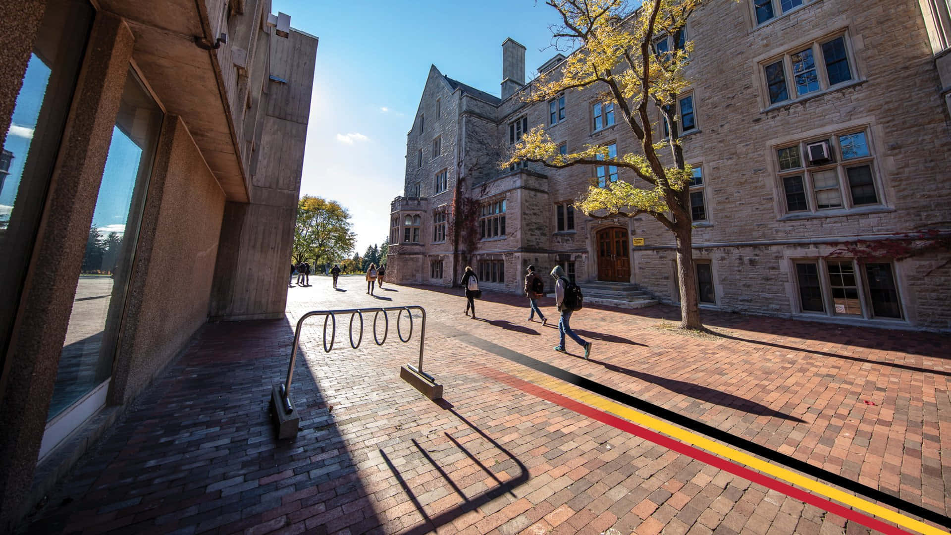 Universityof Guelph Campus Pathway Wallpaper