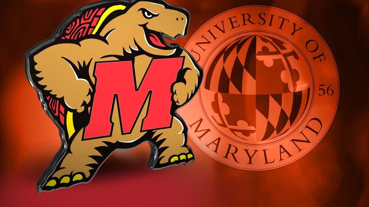 University Of Maryland Mascotte En Zegel Achtergrond