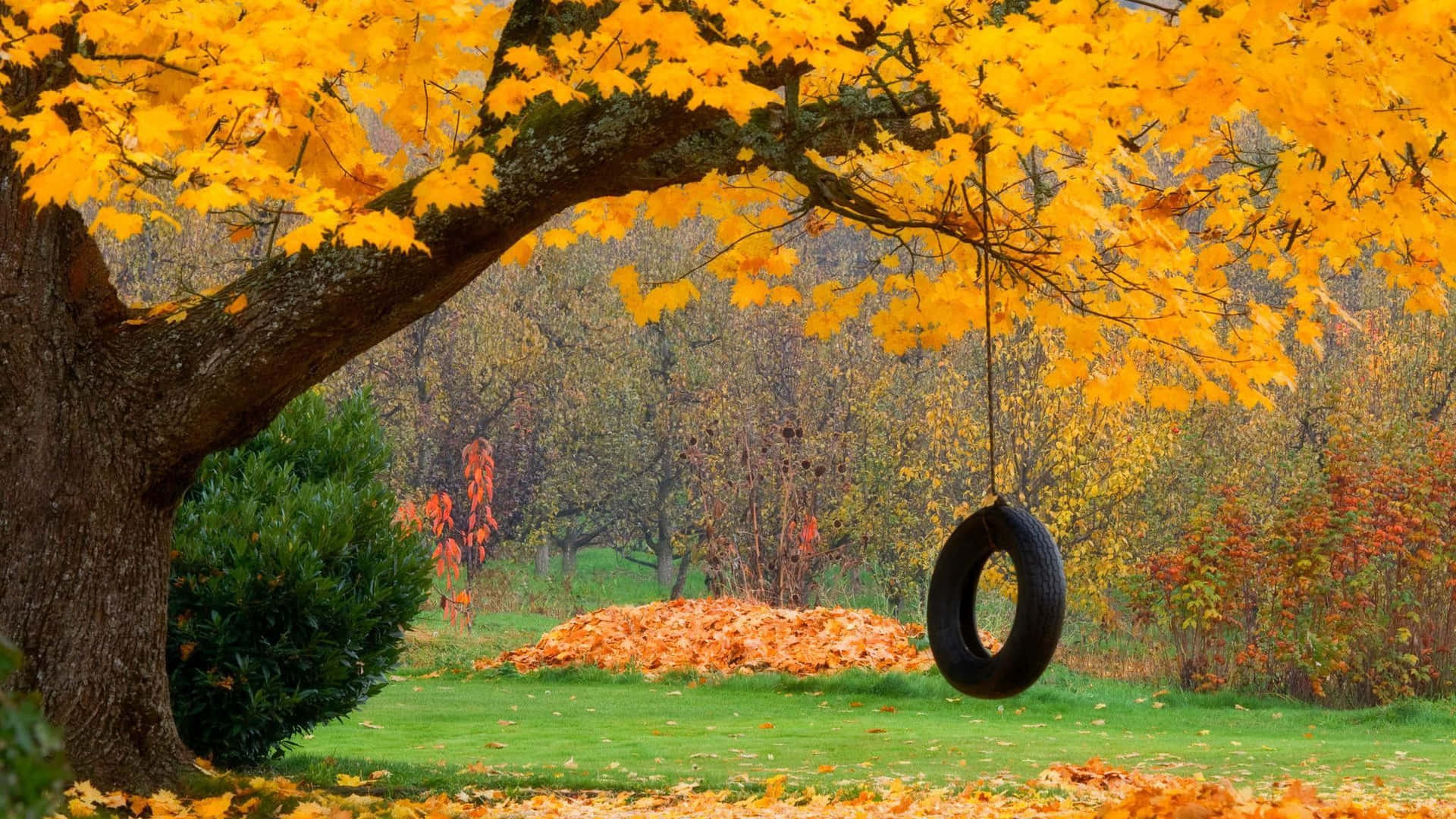 Unluminoso E Colorato Parco Giochi Pieno Di Bambini In Una Giornata Di Sole