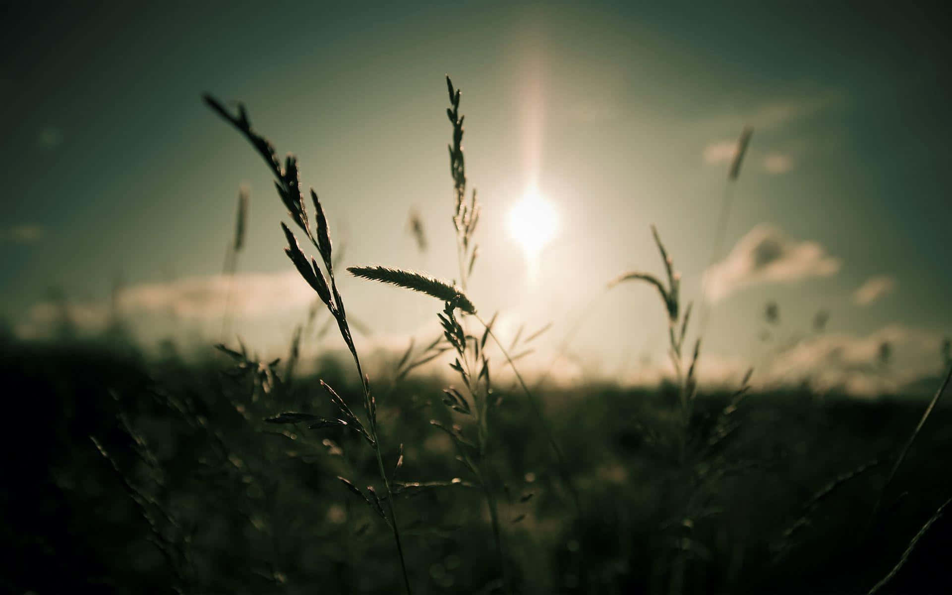 Unostagno Pacifico Circondato Da Una Vegetazione Rigogliosa Riflette Il Cielo E Le Foglie Autunnali.