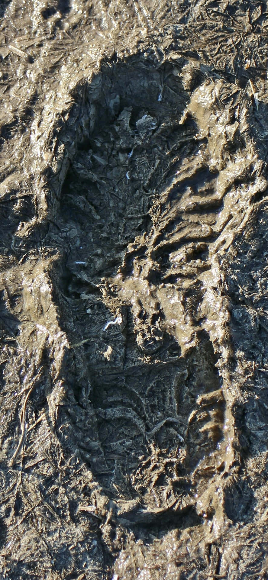 Unraveling The Earth's Canvas - Close-up Of Wet Mud Texture