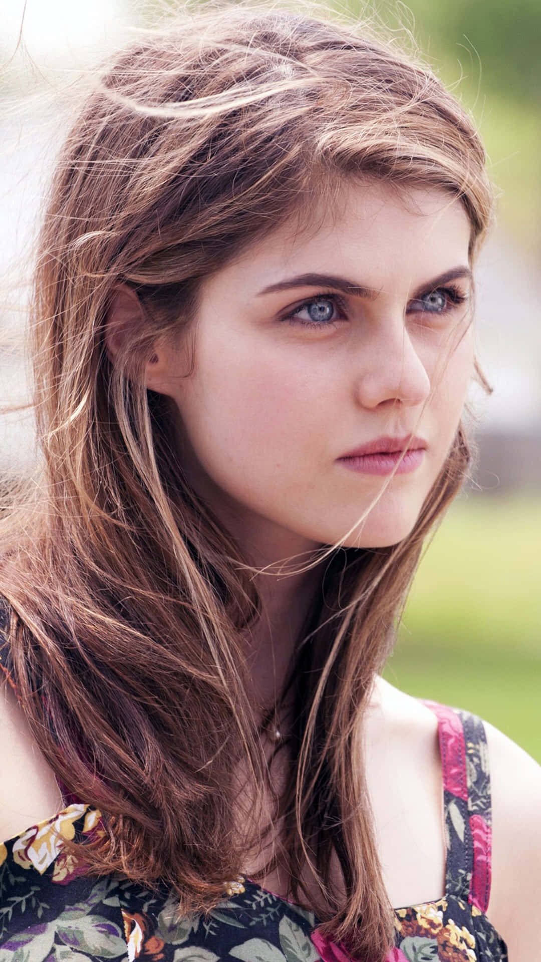 Unretrato Fascinante De La Actriz De Hollywood Alexandra Daddario