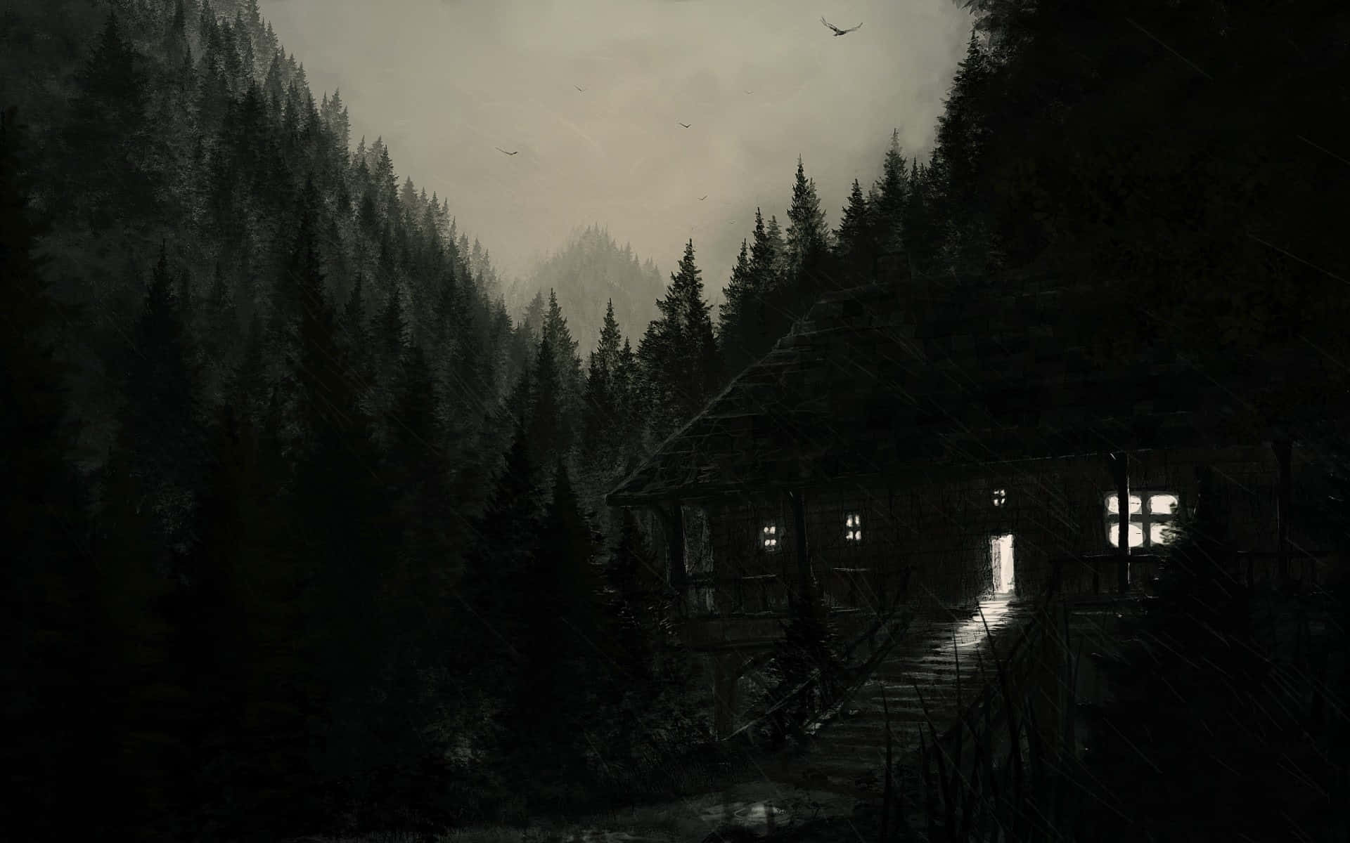 The Dark Forest Path Wallpaper