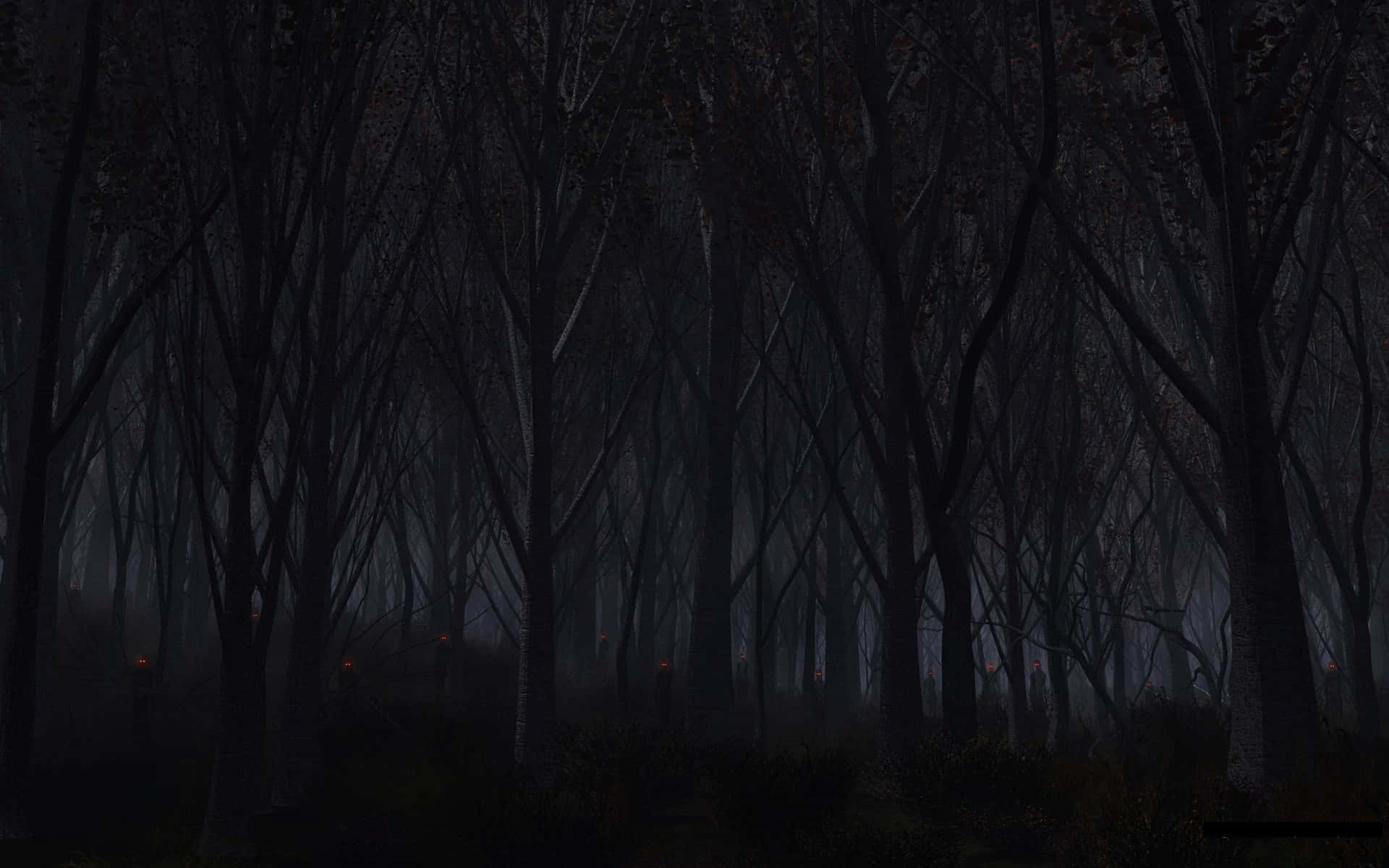 Dark Forest Path in Moonlight Wallpaper