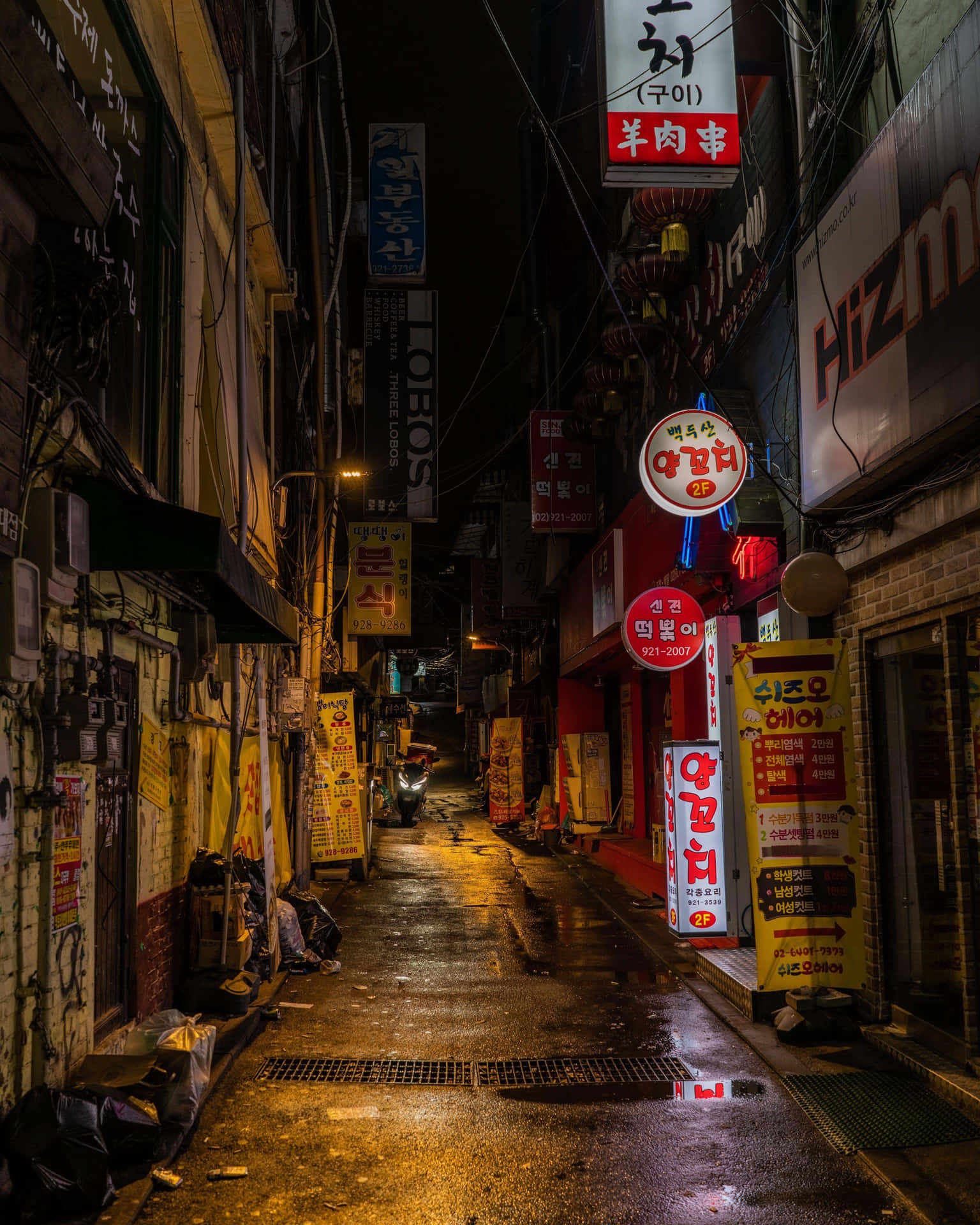 Urban_ Night_ Alley_ Signage Wallpaper