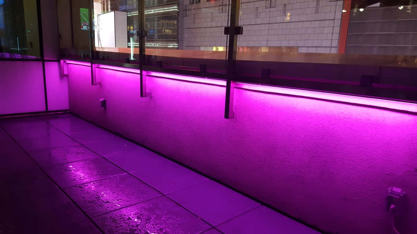 Urban Purple Neon Night Wallpaper