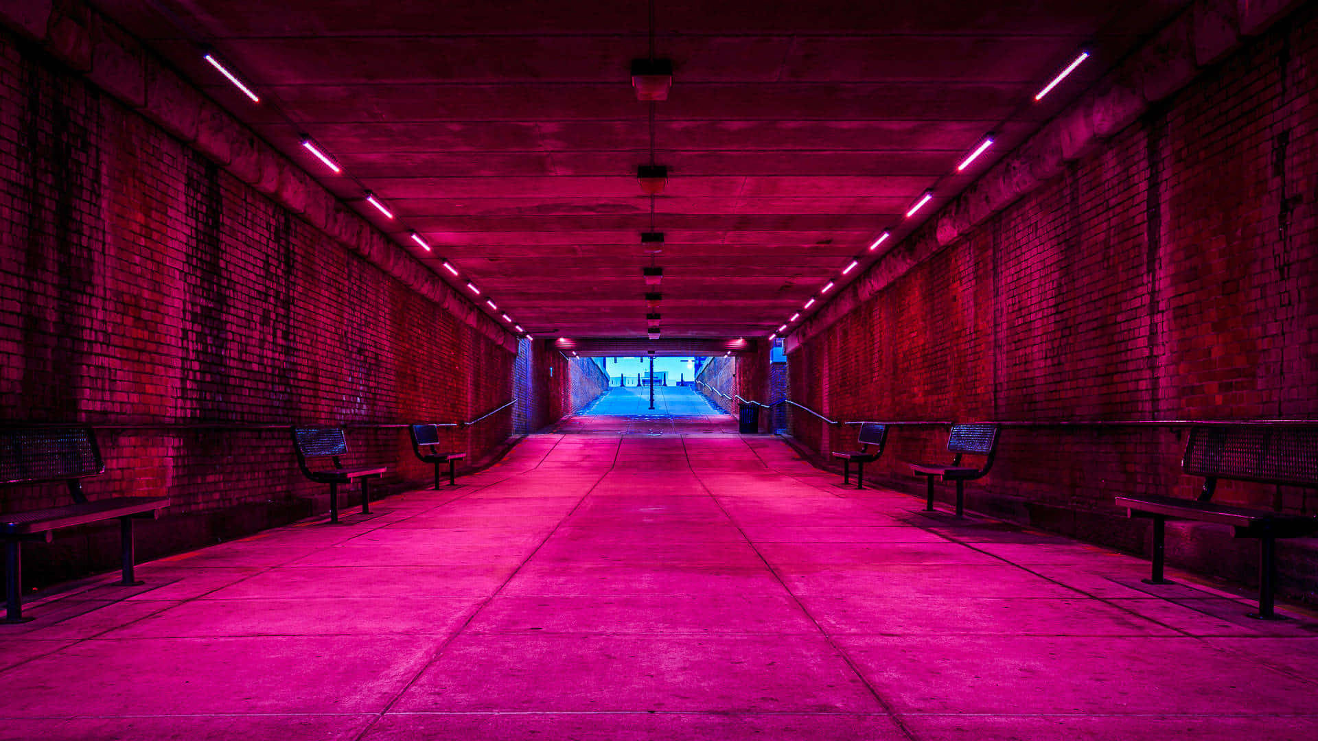 Stedelijke Tunnel Met Roze Verlichting Achtergrond