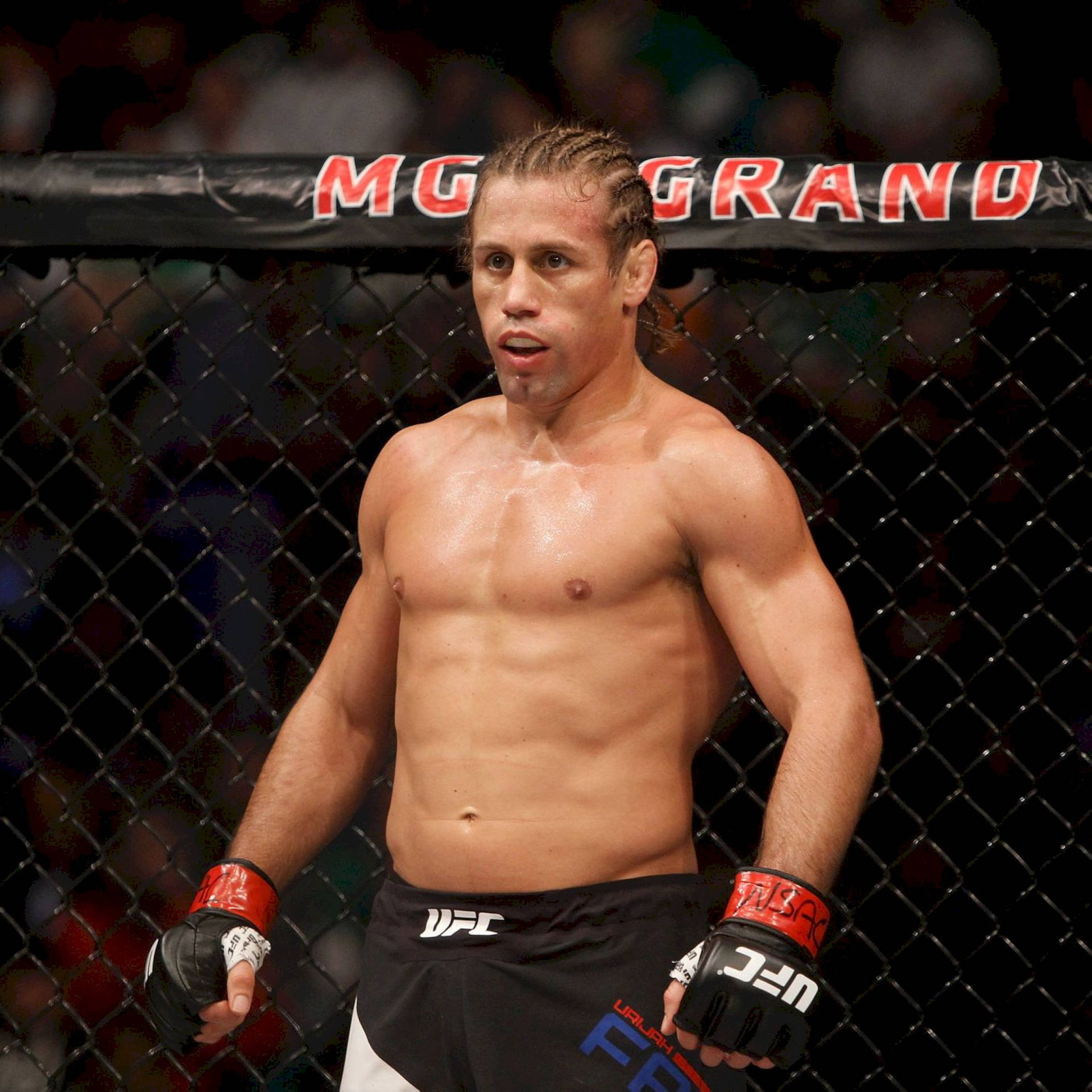 Urijah Faber During A Fight Wallpaper