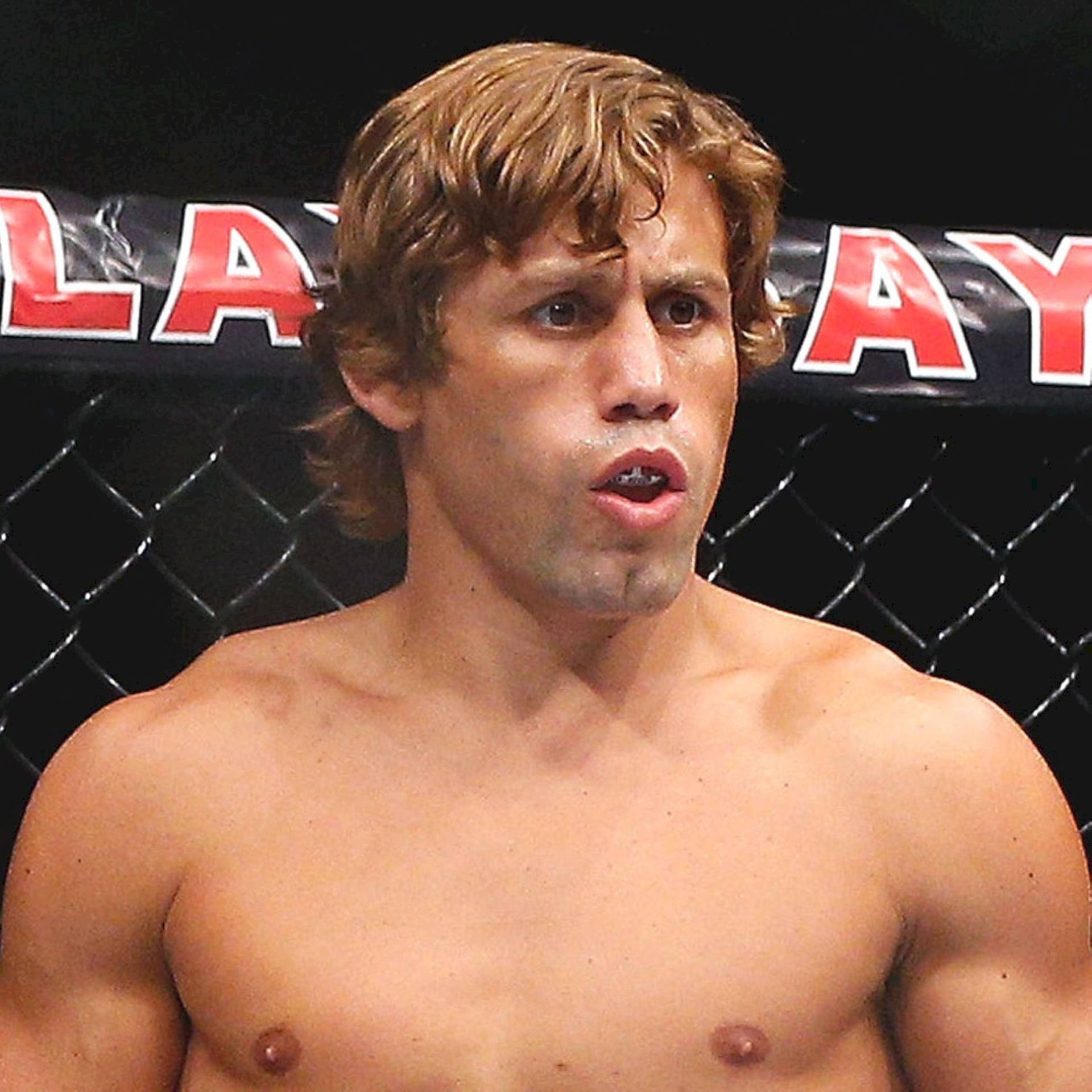 Urijah Faber With Mouth Guard Wallpaper