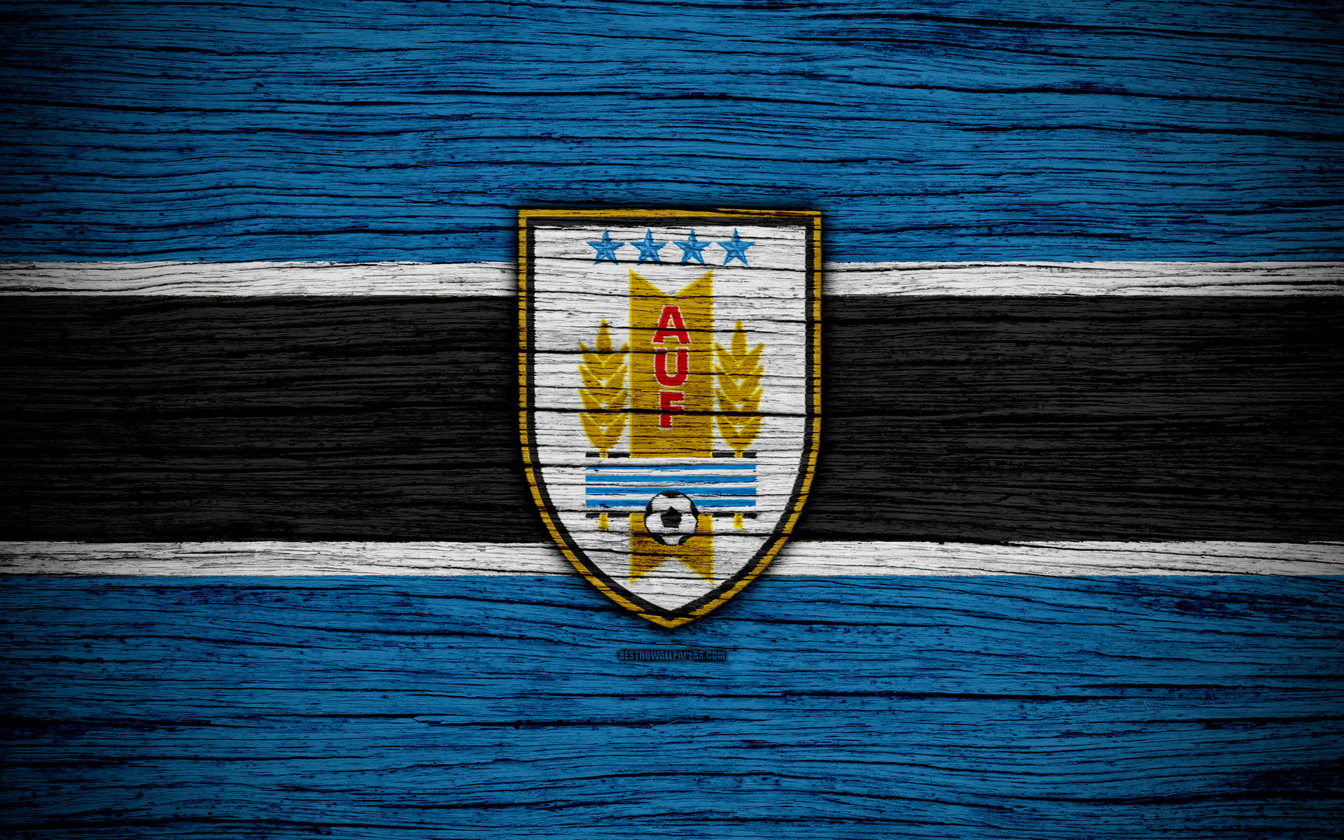 Uruguay Football Logo Wood Art