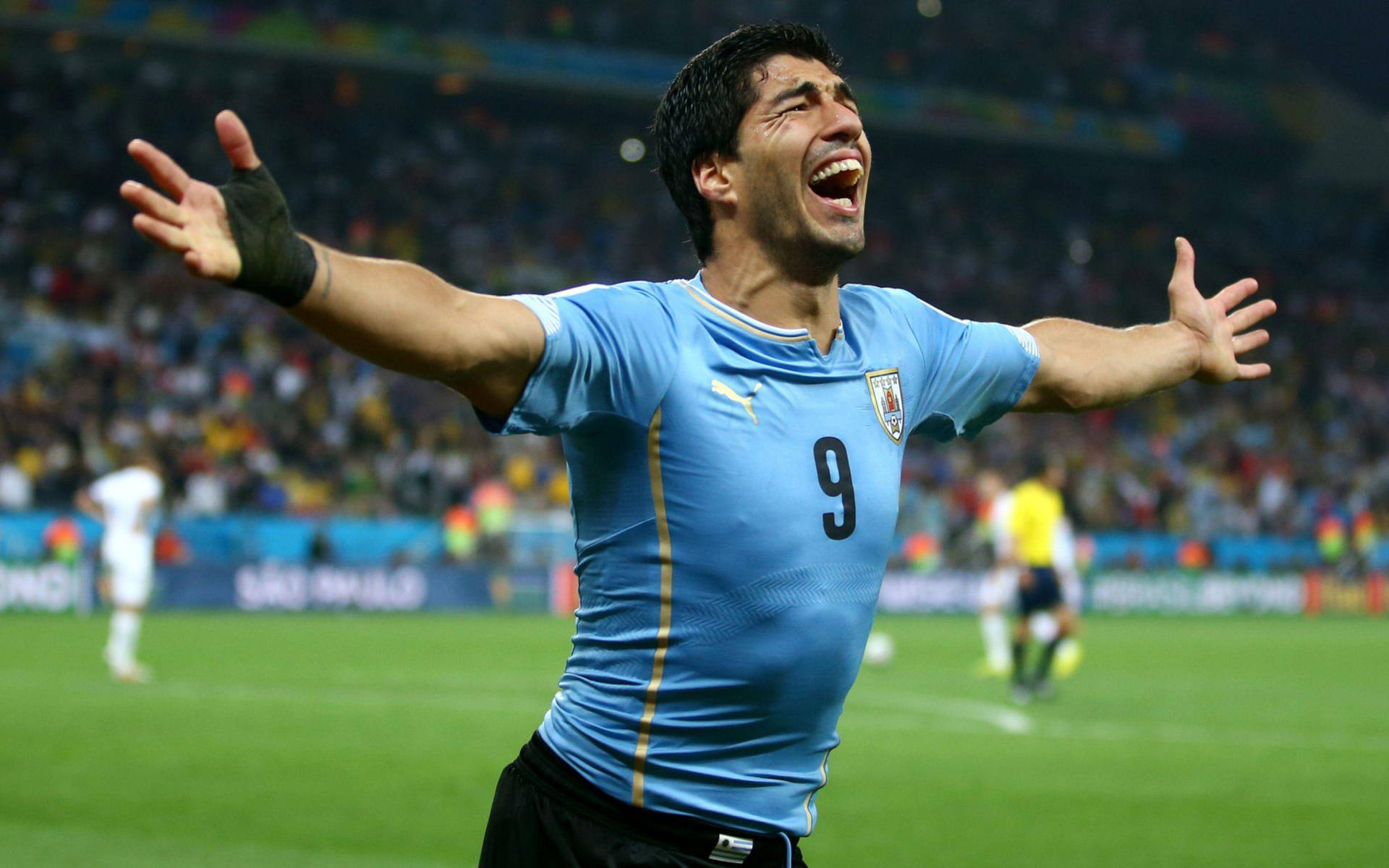 Selecciónnacional De Fútbol De Uruguay Número 9. Fondo de pantalla