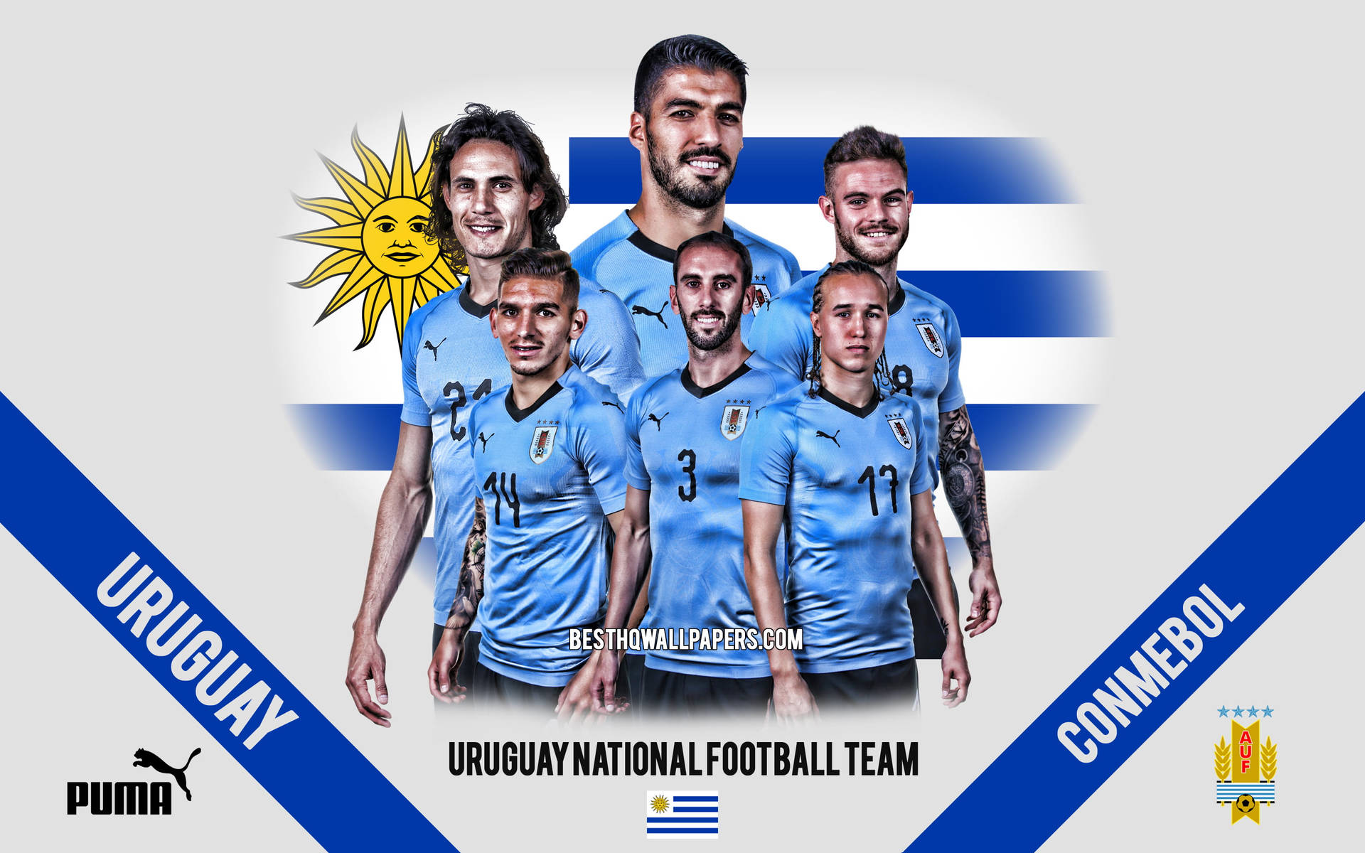 Uruguays Nationals Fodboldhold Puma Shirt Tapet Wallpaper