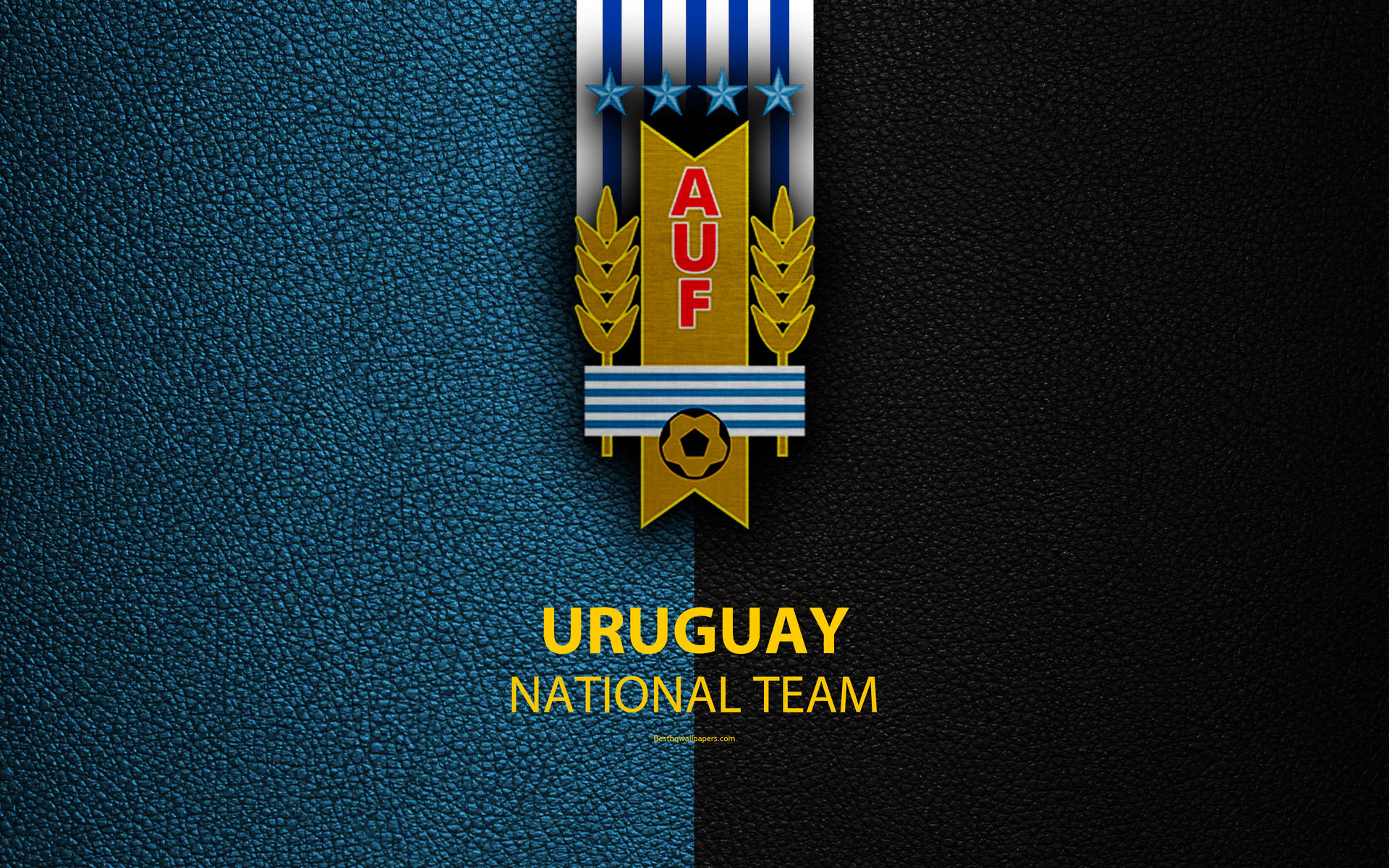 Uruguay National Team Football Logo