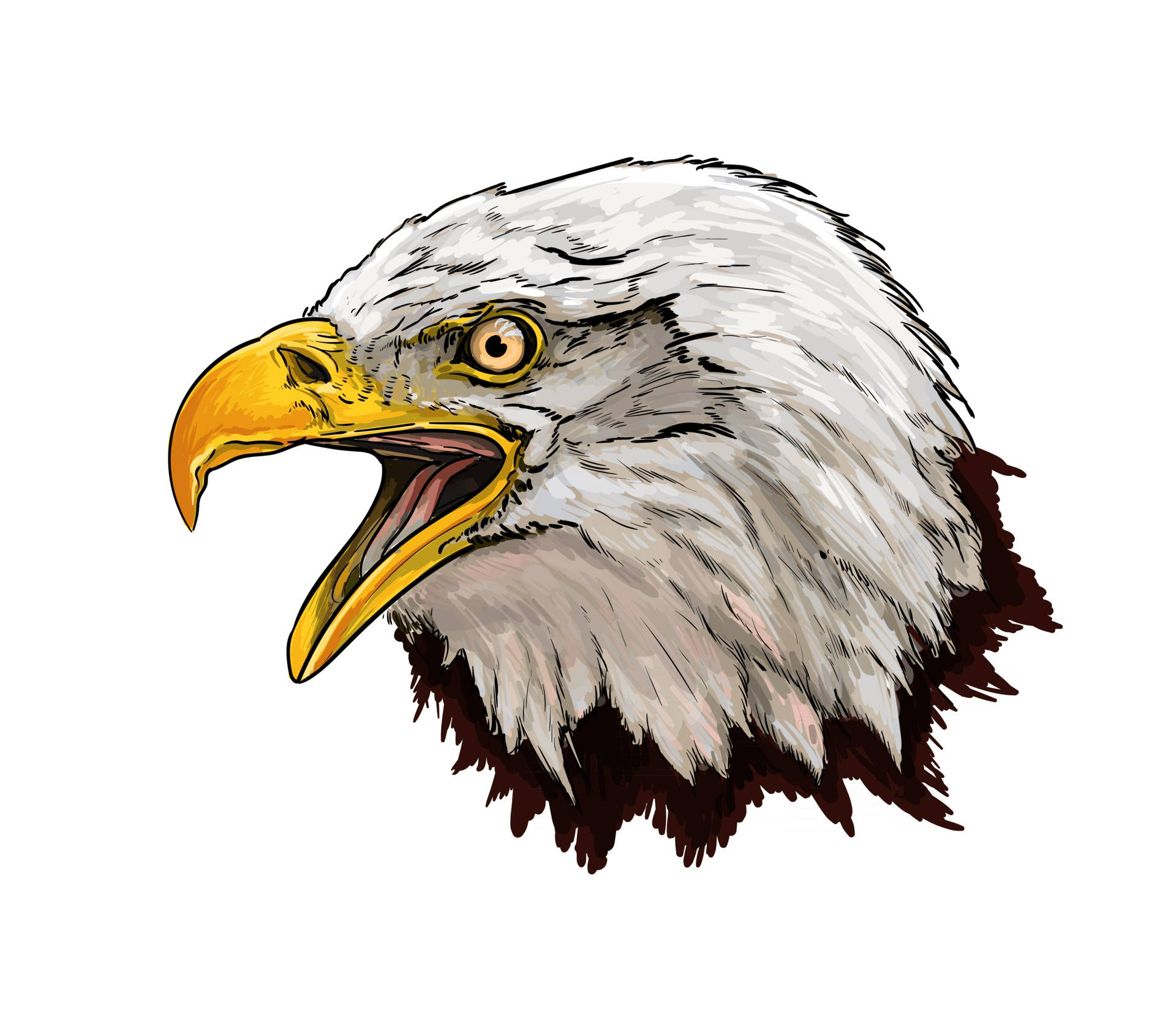 US Eagle Head Art Wallpaper