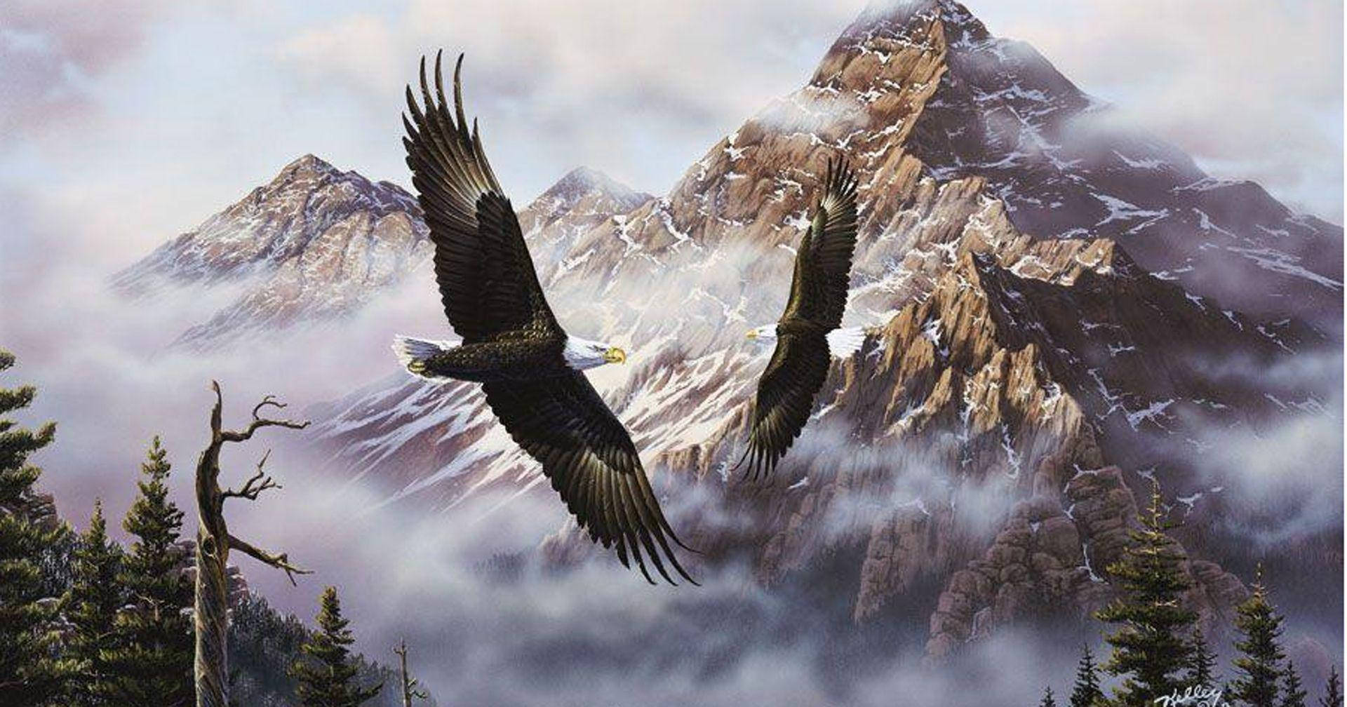 US Eagle Over Mountains Wallpaper