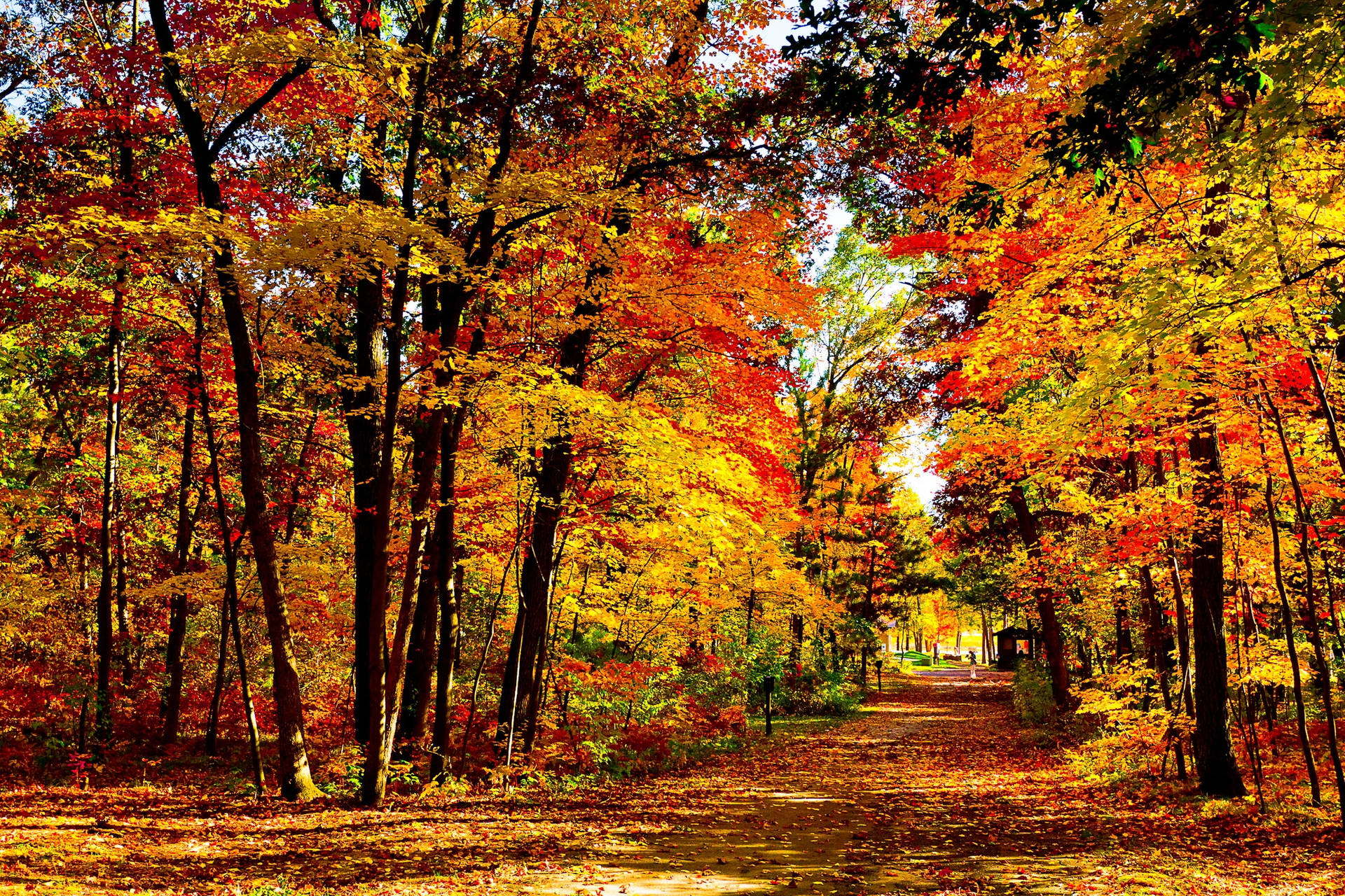 USA Autumn Season Wallpaper
