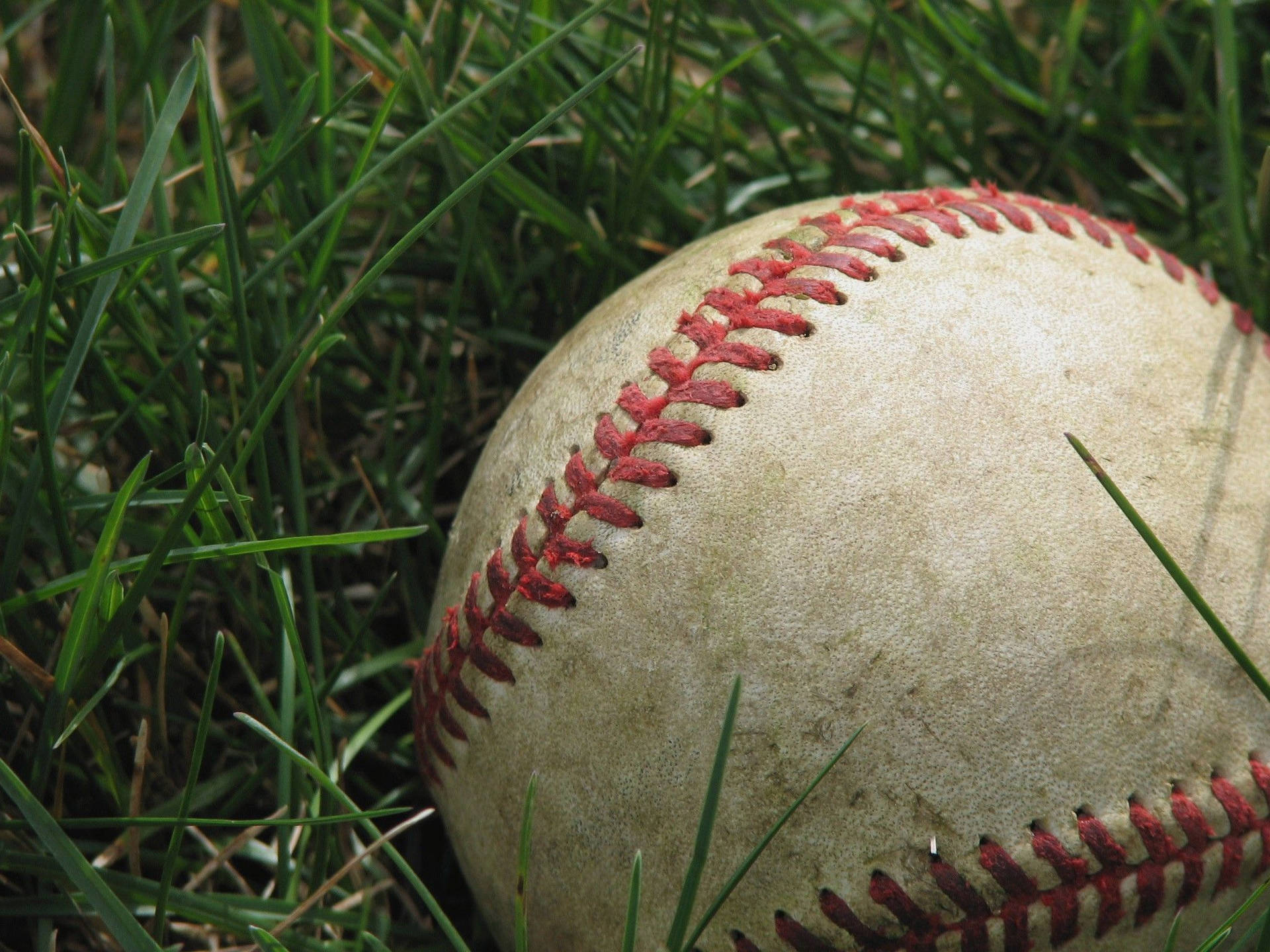 Used Dirty Baseball On Grass