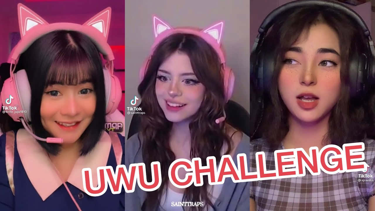Uwu Challenge - Uwu Challenge - Uwu Challenge - Uwu Challenge - Uwu Wallpaper