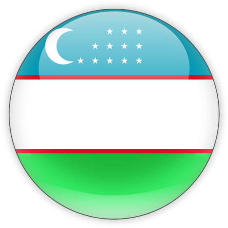 Uzbekistan Flag Button PNG