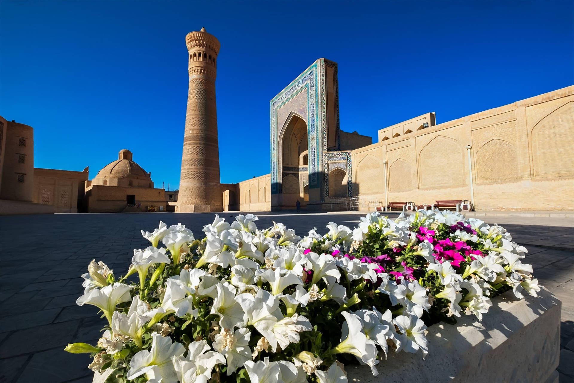 Uzbekistánsamarcanda Jardín De Flores. Fondo de pantalla