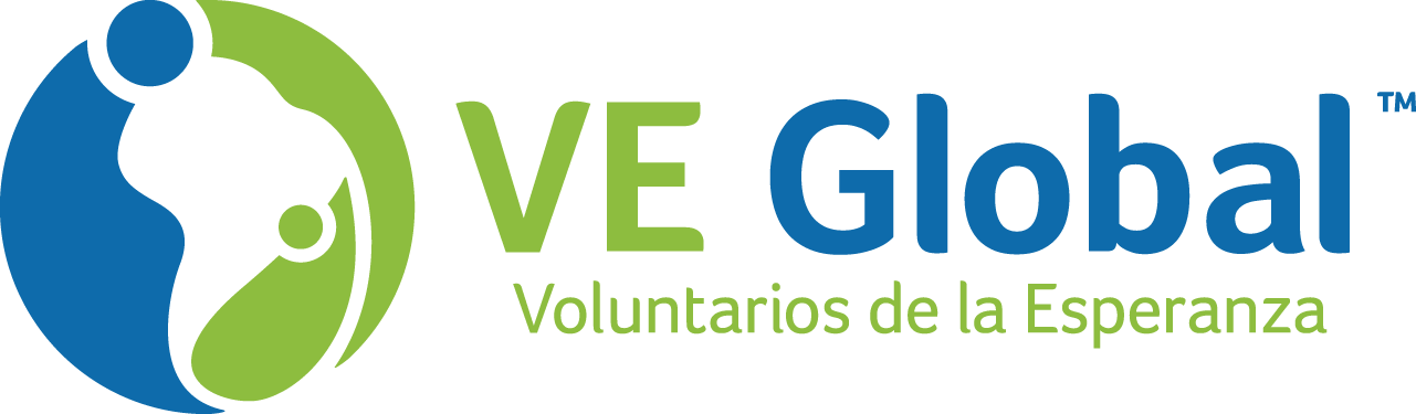 V E Global Logo PNG