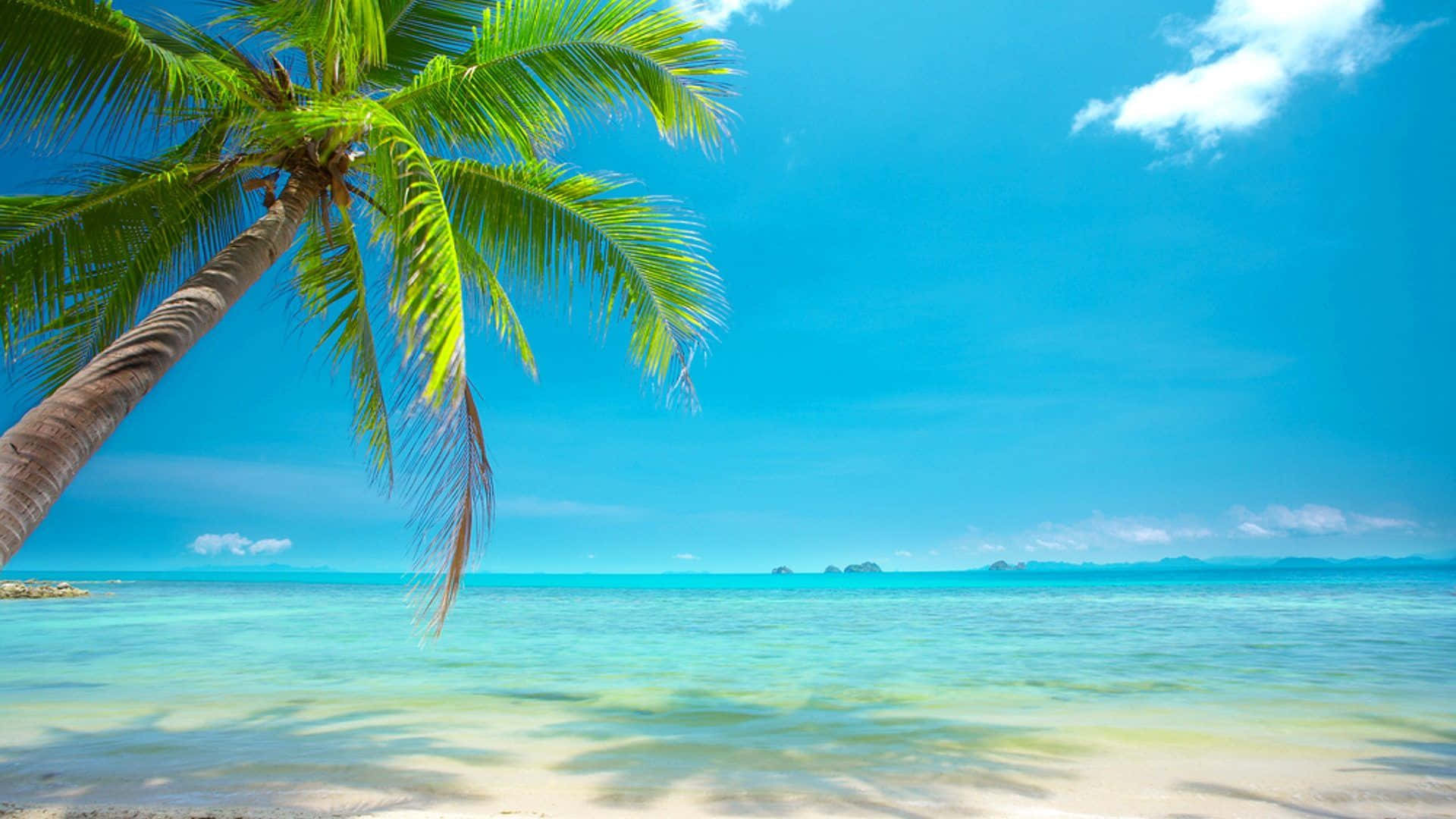 Download Breathtaking Tropical Paradise | Wallpapers.com