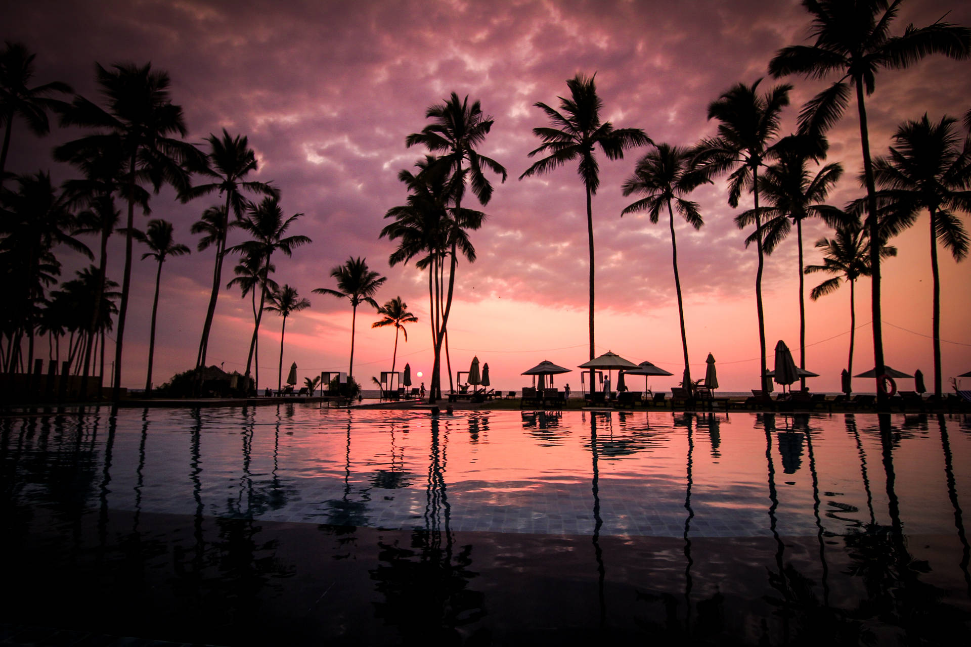 Vacation Coconut Trees Sunset Wallpaper