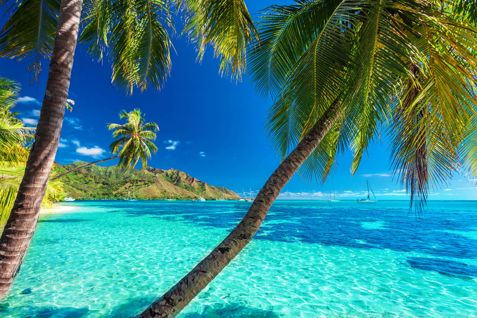 A perfect Caribbean beach escape