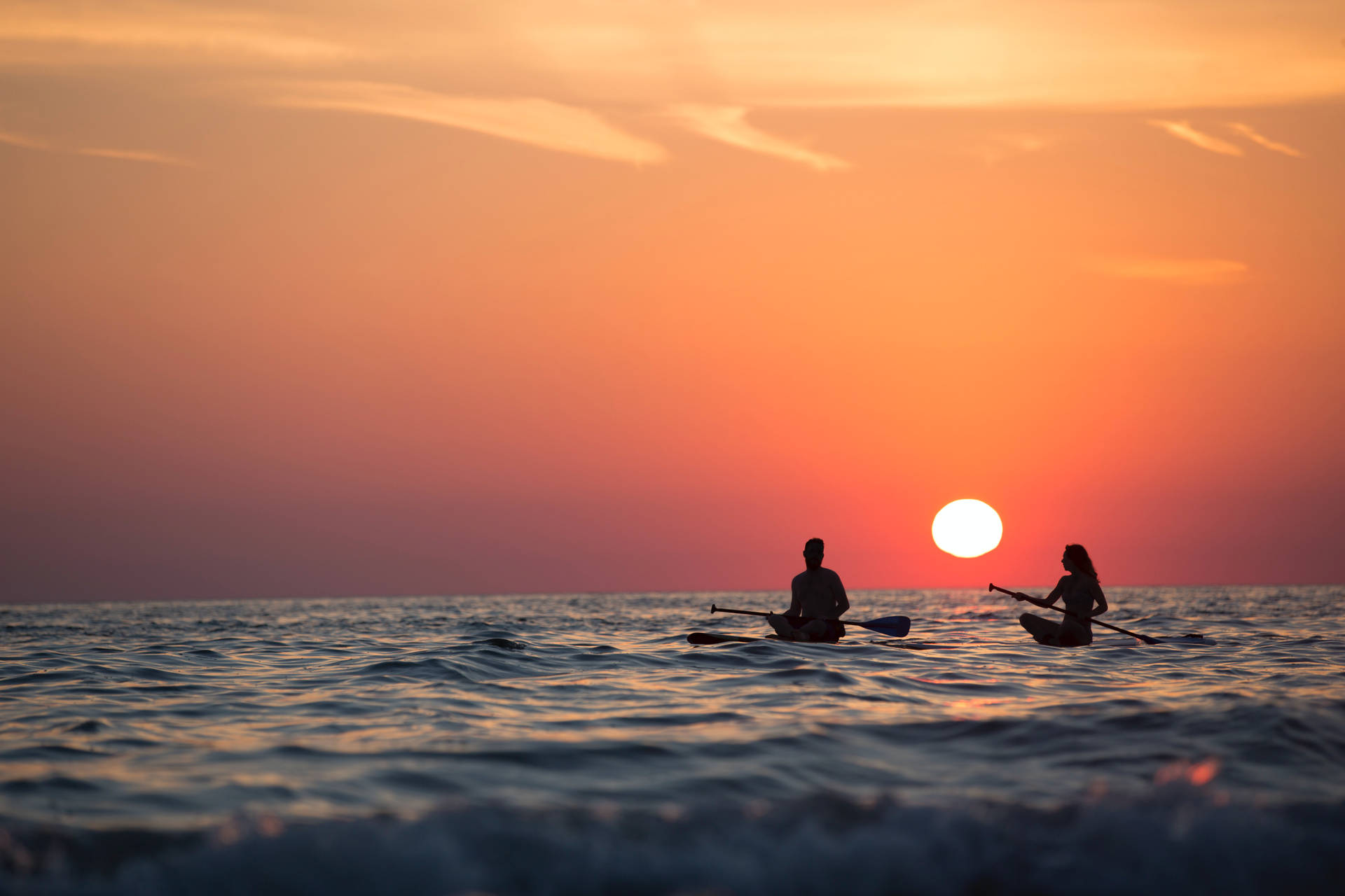 Vacation Sunset Paddle Boarding Wallpaper