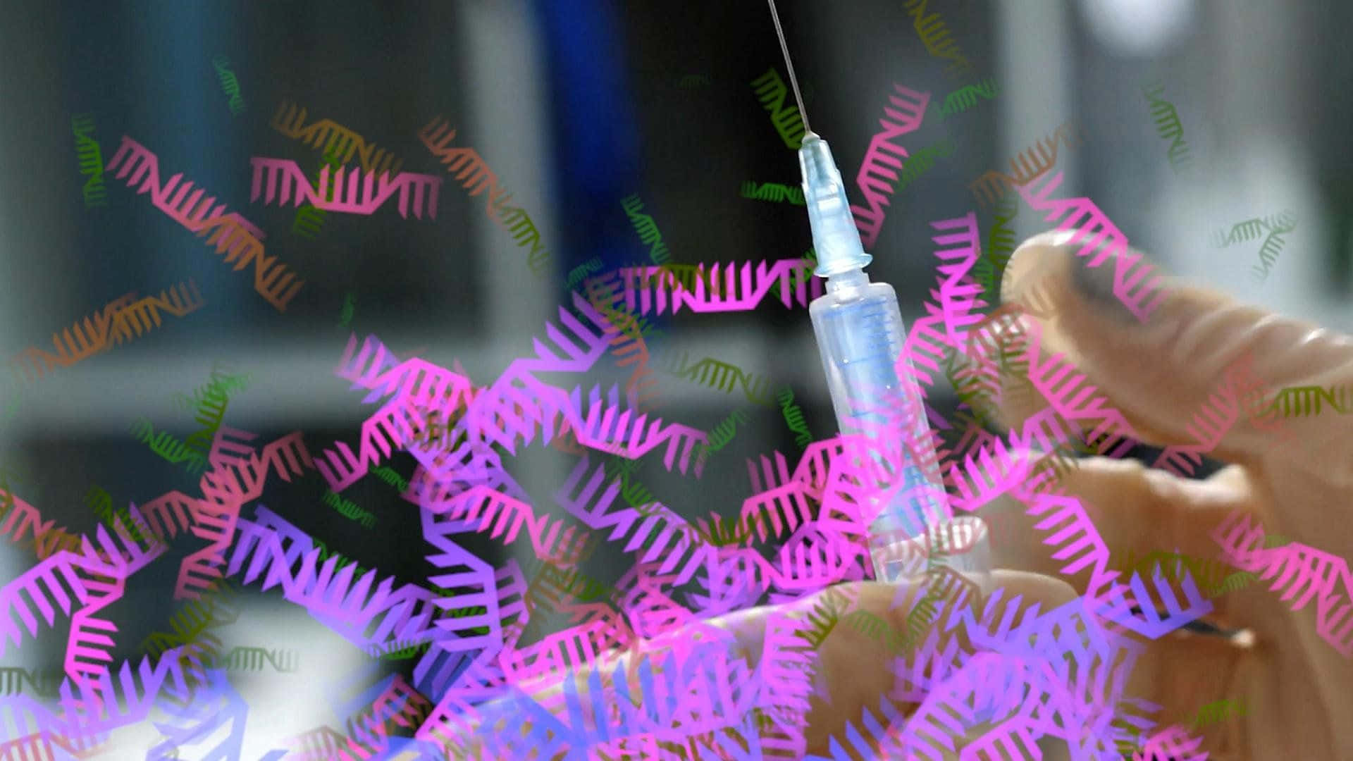 A syringe with a vaccine drawing in the protective medical gloves of a lab technician.