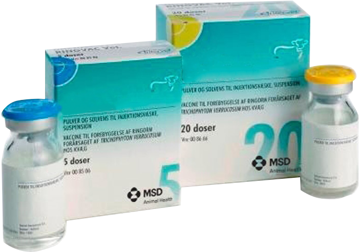 Vaccine Vialsand Packaging PNG