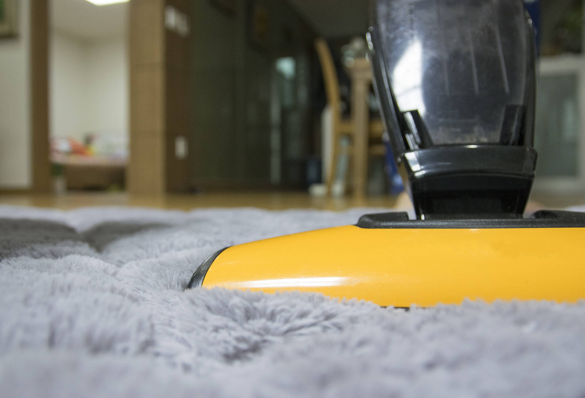 Vacuuming The Rug House Cleaning Wallpaper