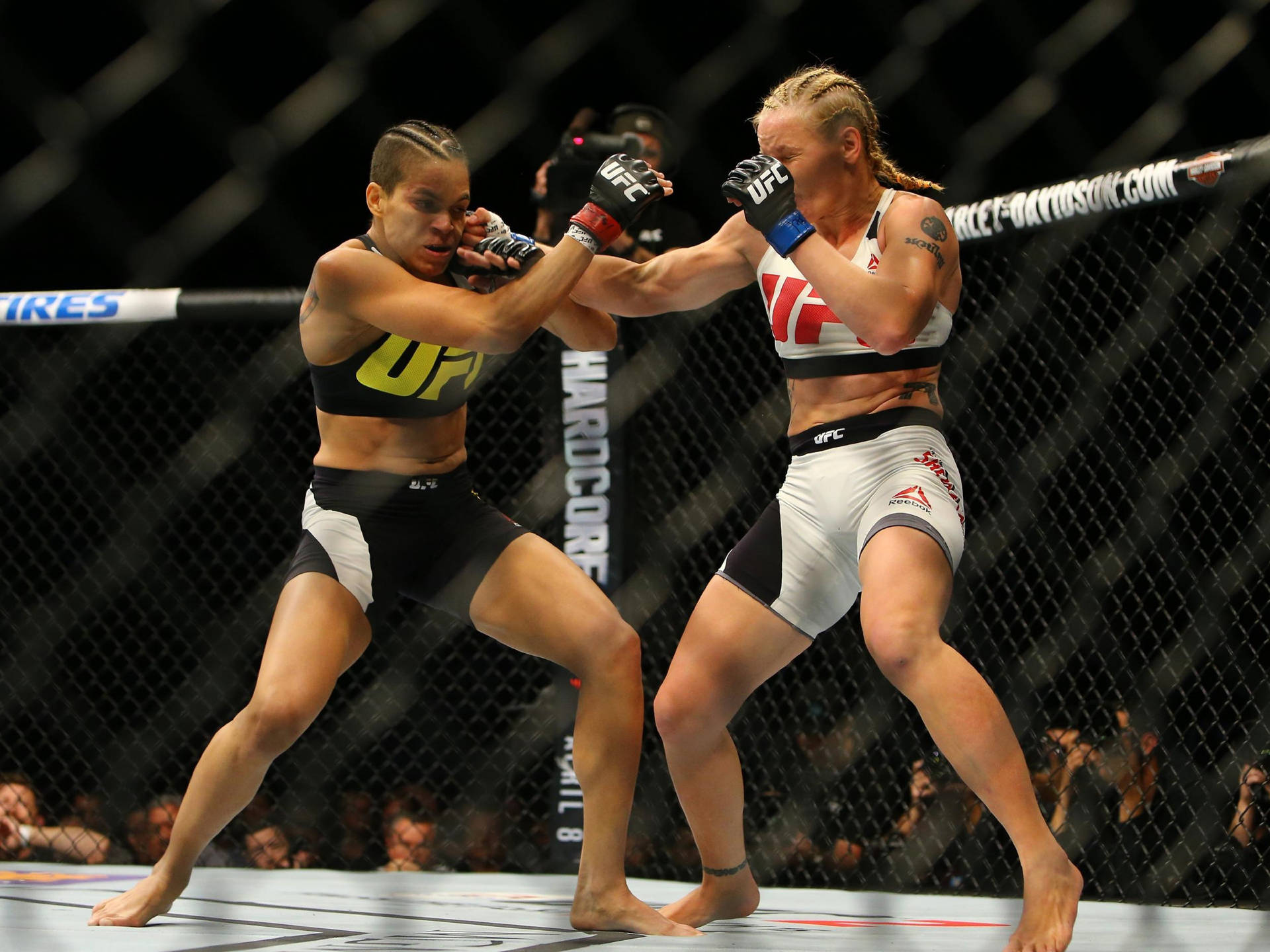 Valentina Shevchenko Amanda Nunes UFC 196 værkerne Lommeur Abstrakt Wallpaper Wallpaper