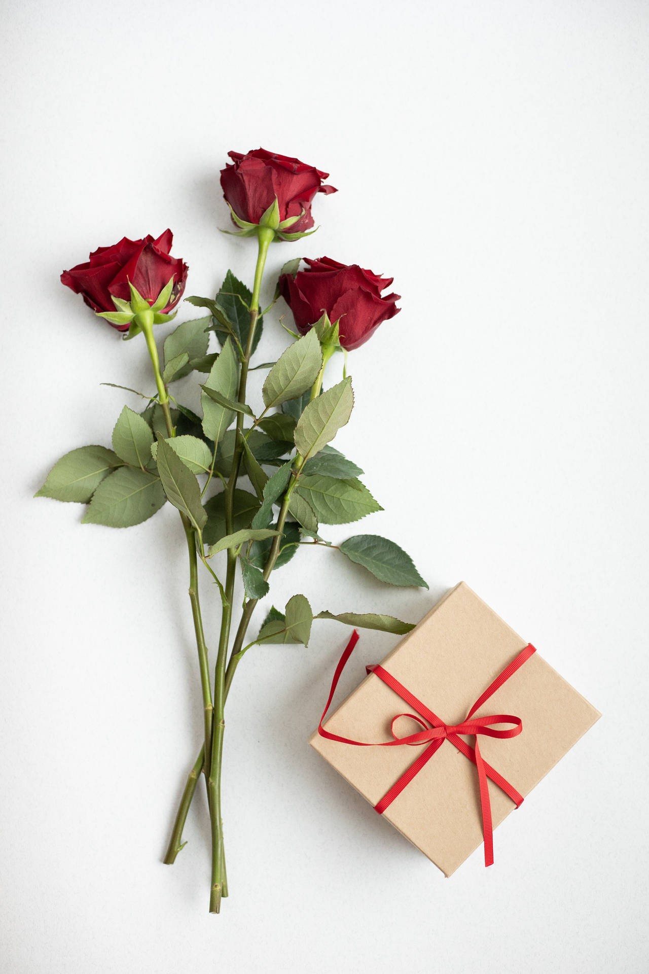 Valentine Gift Red Roses