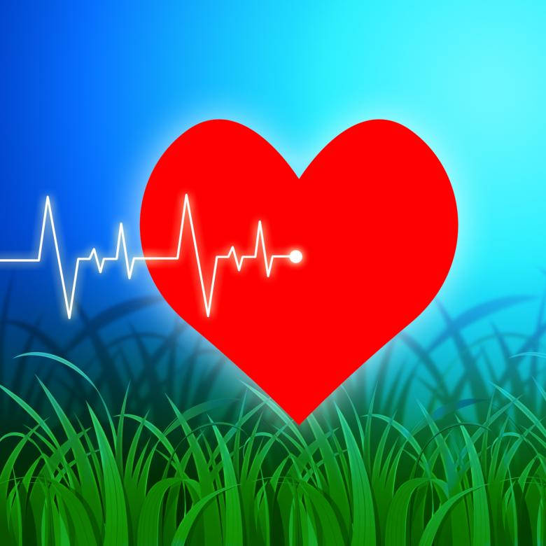 Valentine Heartbeat Pattern Wallpaper