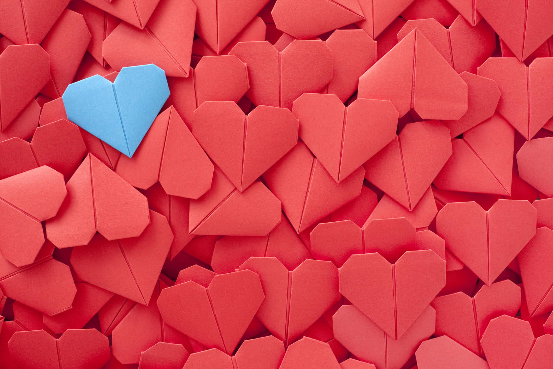 Blue Red Heart Origami Valentine's Day Pictures 5000 x 3333 Picture