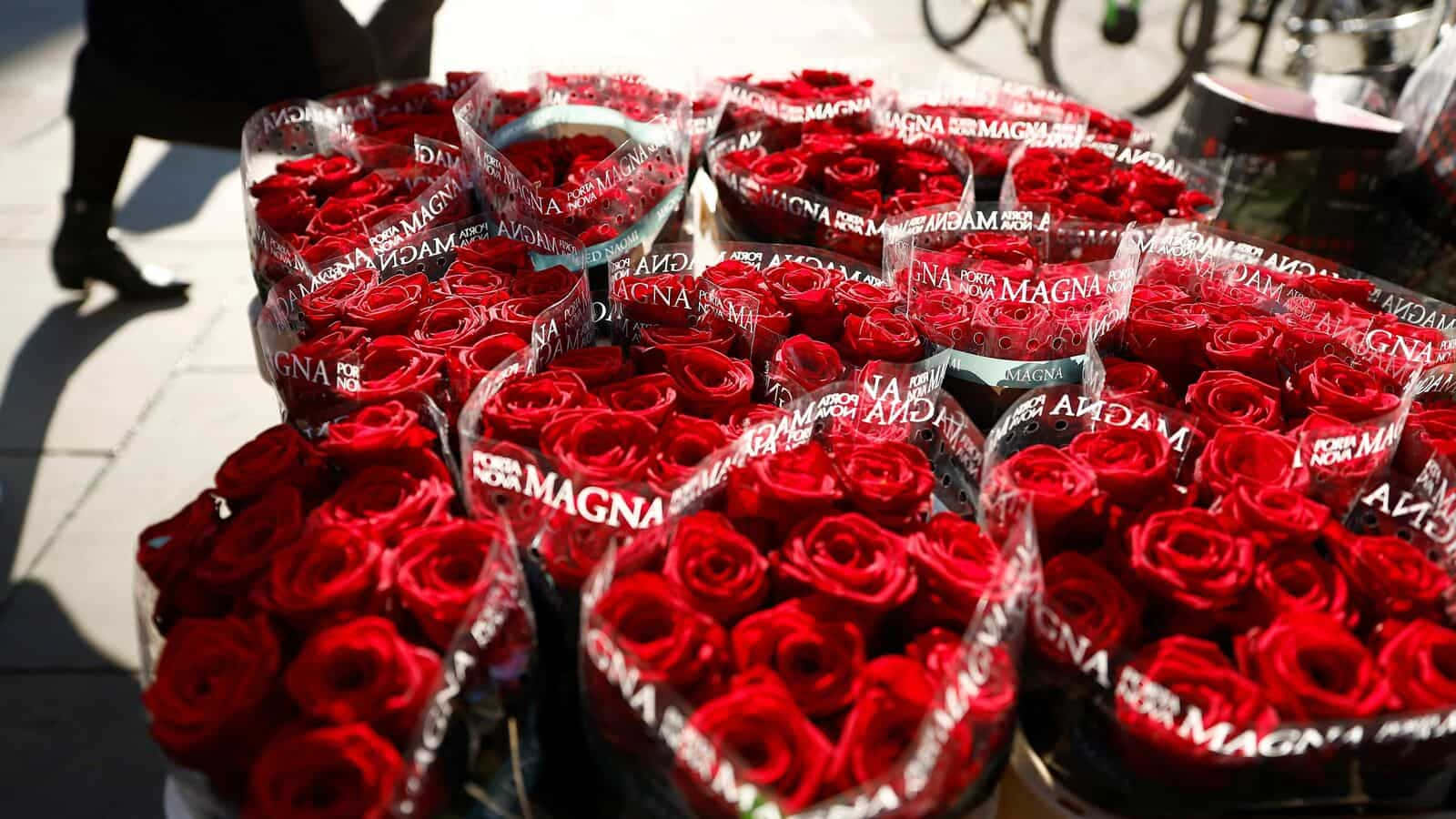 Valentine's Day Red Rose Bouquet Pictures