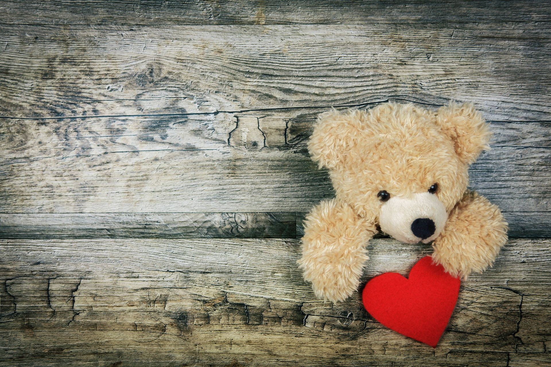 Valentine's Day Teddy Bear With Heart Wallpaper
