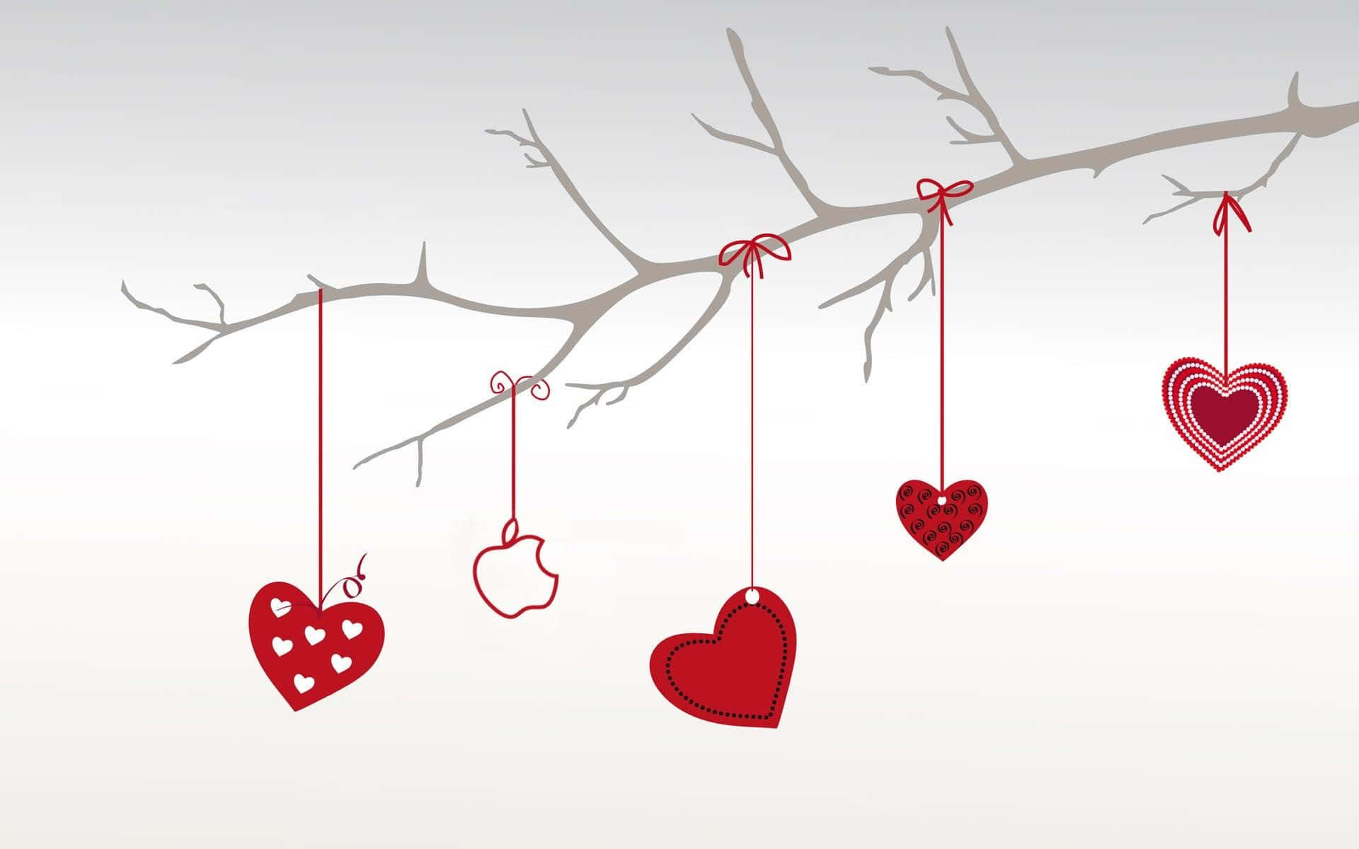 Muestraa Tu Amado/a Cuánto Te Importa Este Día De San Valentín