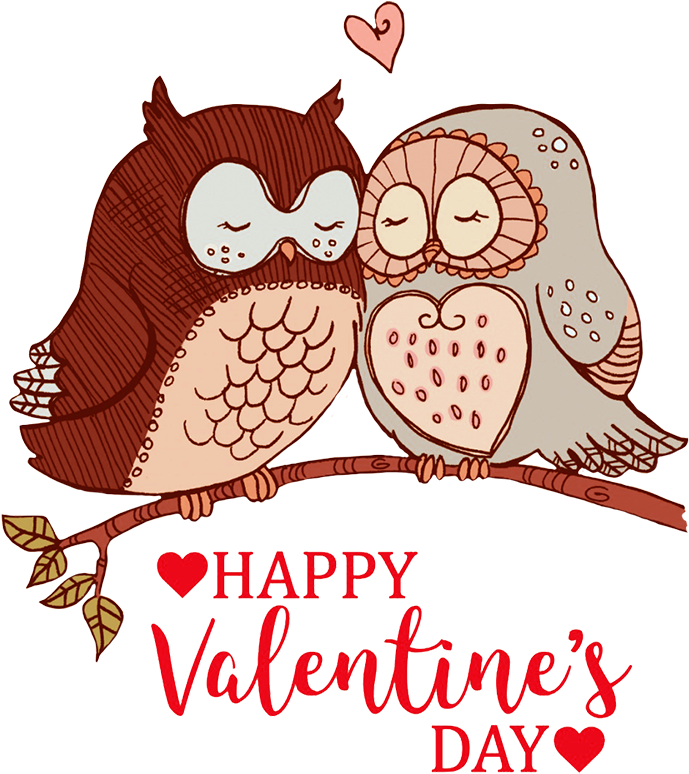 Valentines Day Owls Love Illustration PNG