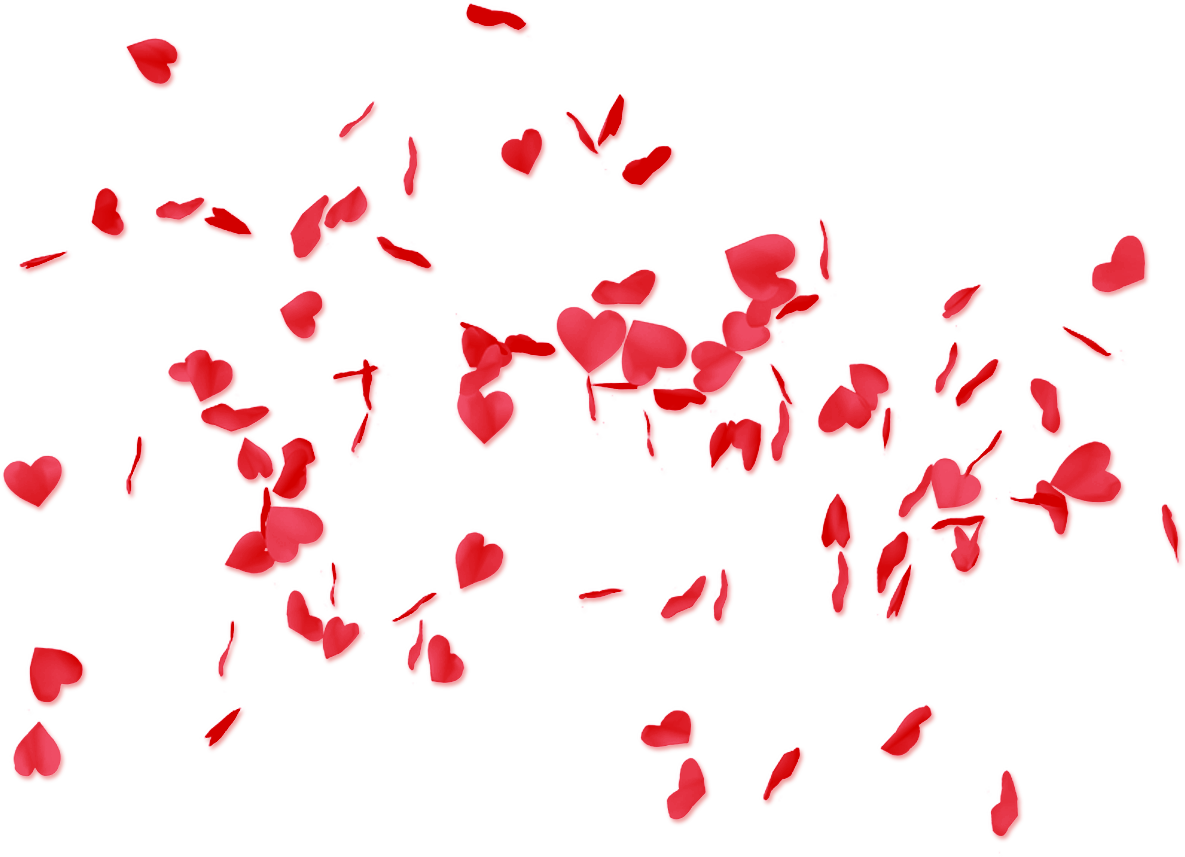 Valentines Day Red Rose Petals Scatter PNG