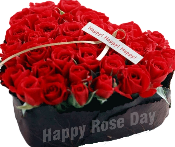 Valentines Day Red Roses Heart Shaped Arrangement PNG