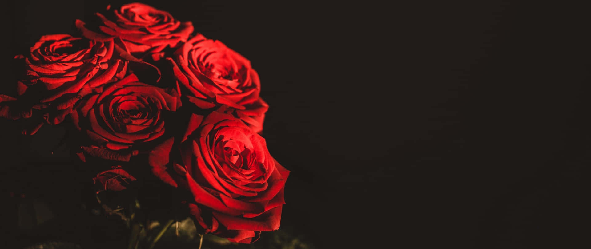 Image  Beautiful Red Roses on Valentines Day Wallpaper