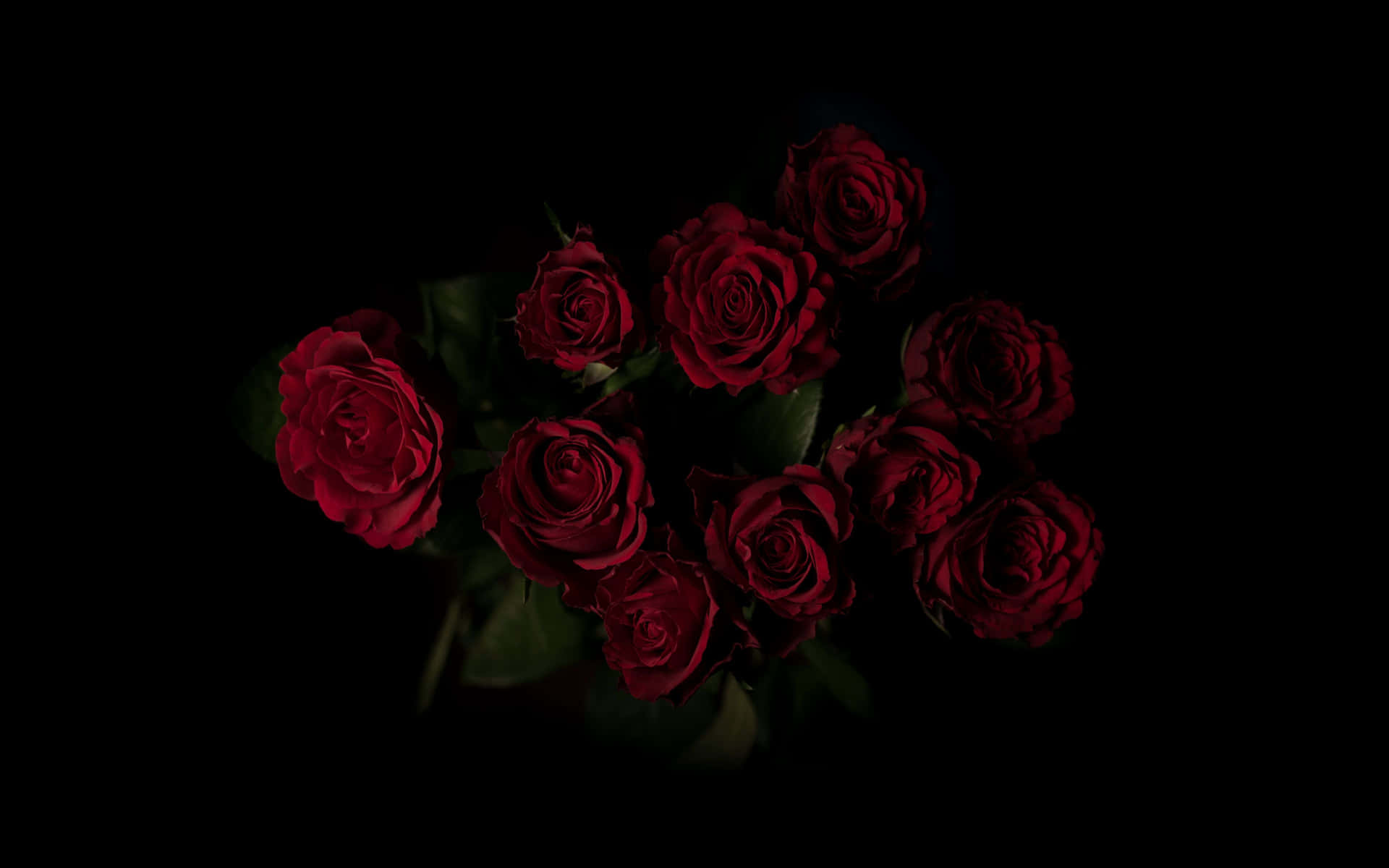 A Bouquet of Beautiful Roses for Valentine's Day Wallpaper